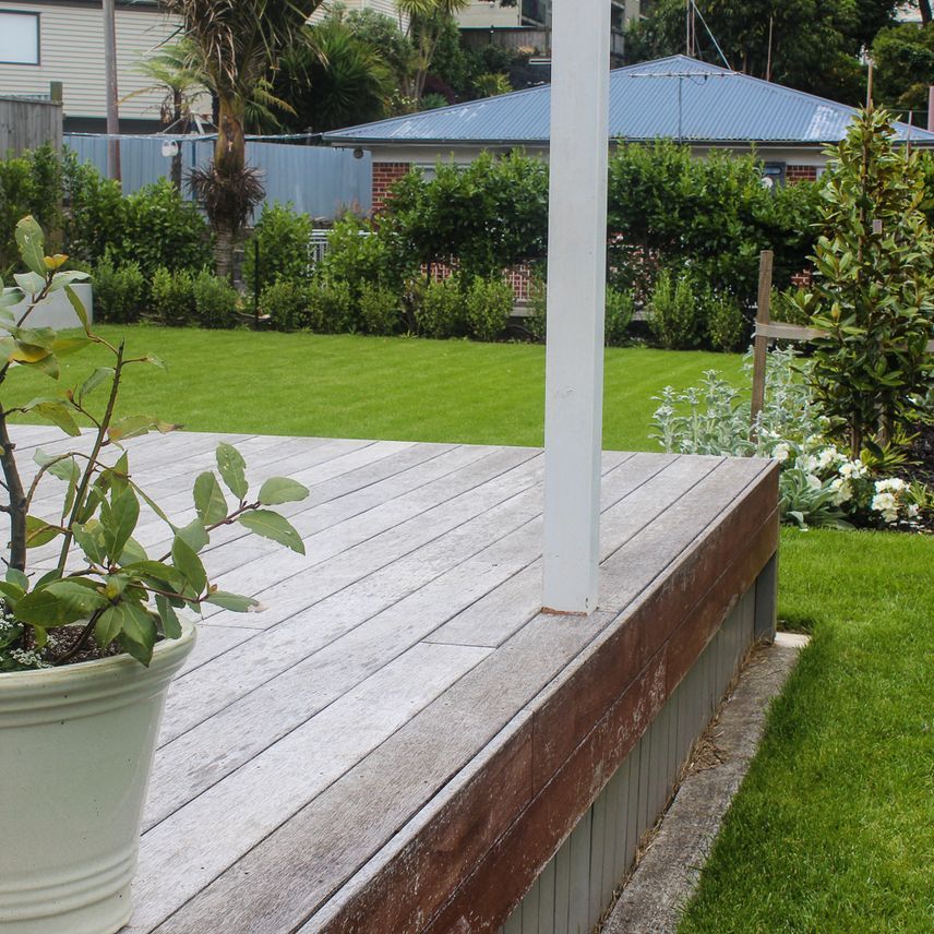 Deck-New-Zealand.jpg
