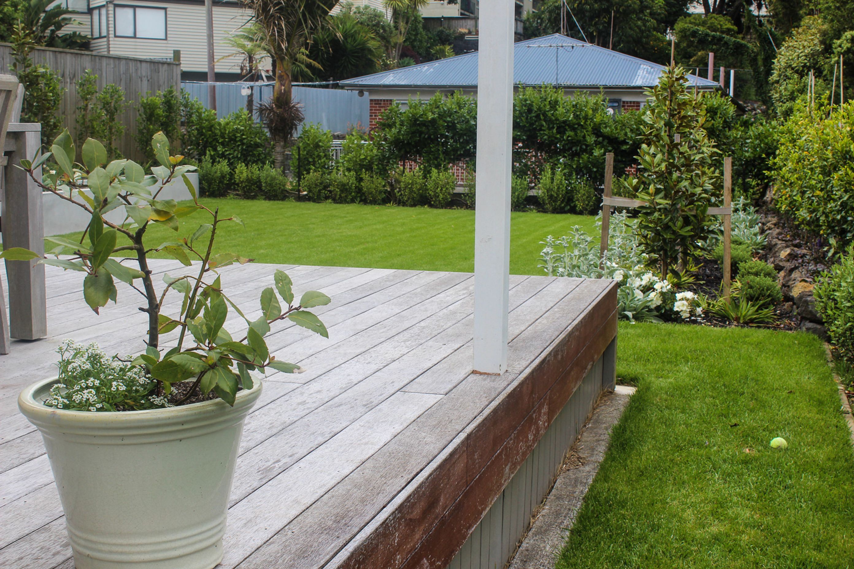 Deck-New-Zealand.jpg