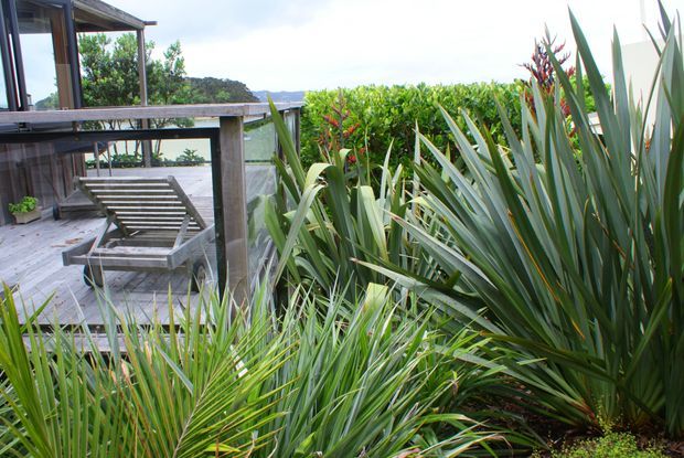 A modern timber-clad outdoor deck or terrace beside a glazed building, furnished with a wooden slatted lounge chair and surrounded by dense architectural planting, including tall spiky flax-like foliage and red-orange flowering plants. The deck overlooks a lush coastal or rural landscape.