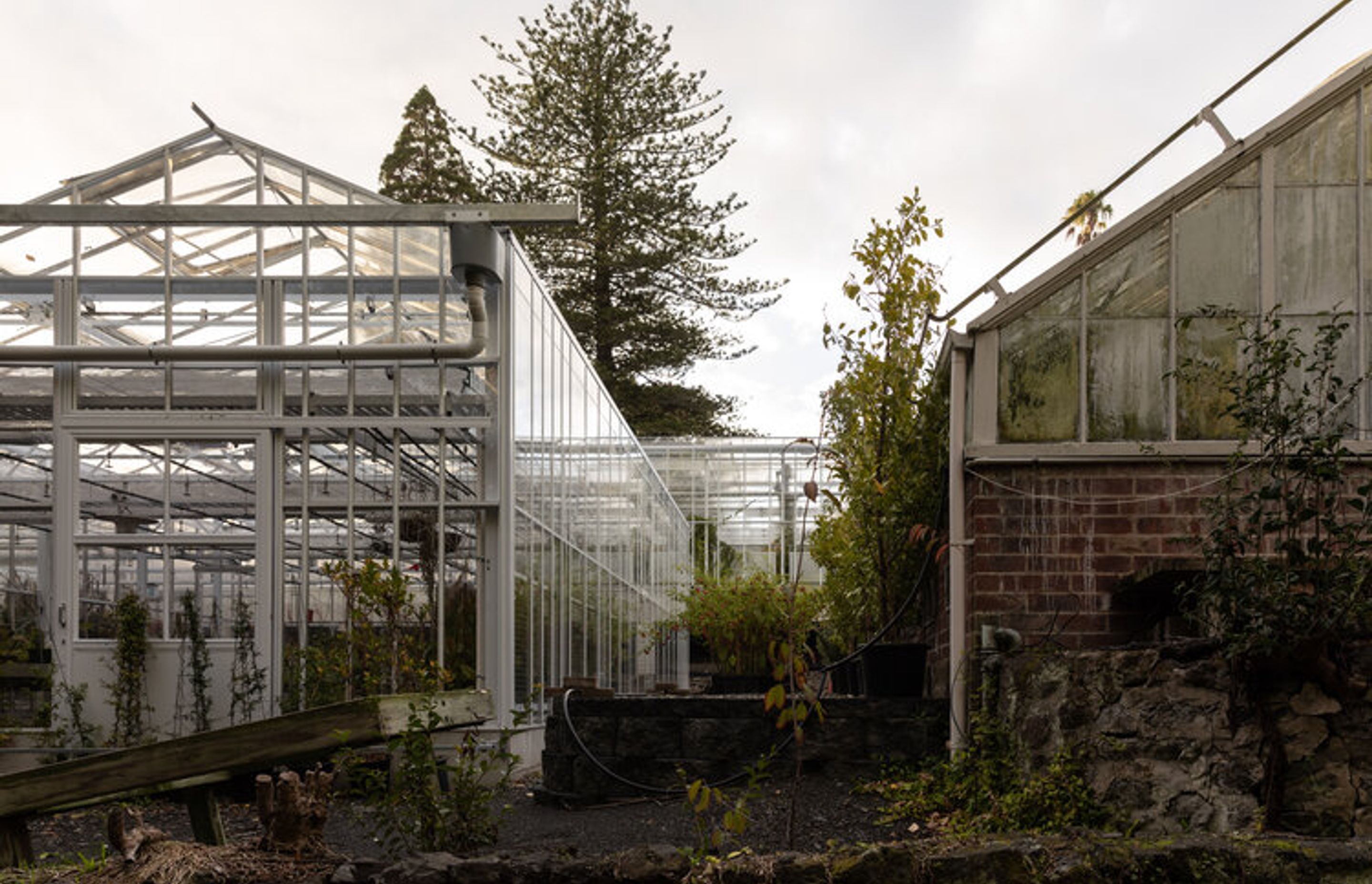 Domain Glass Houses