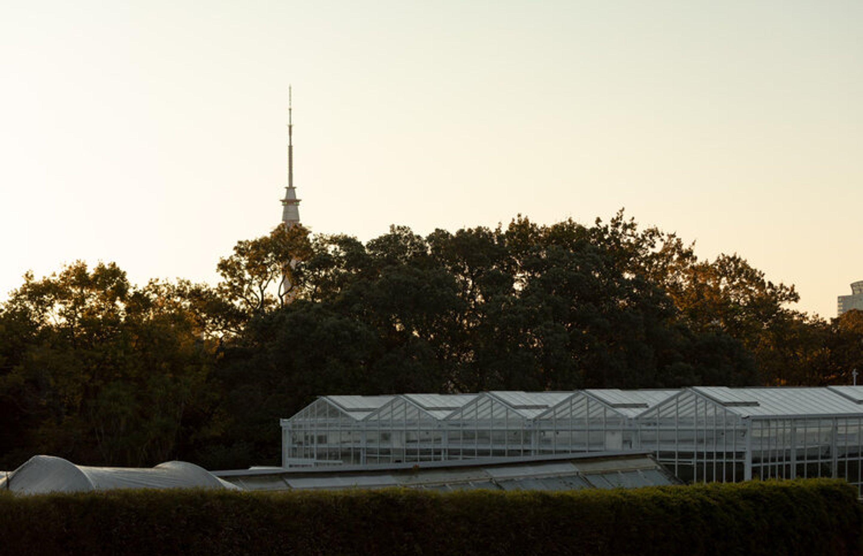 Domain Glass Houses