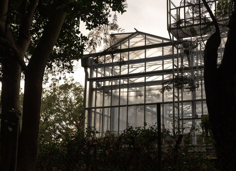 Domain Glass Houses
