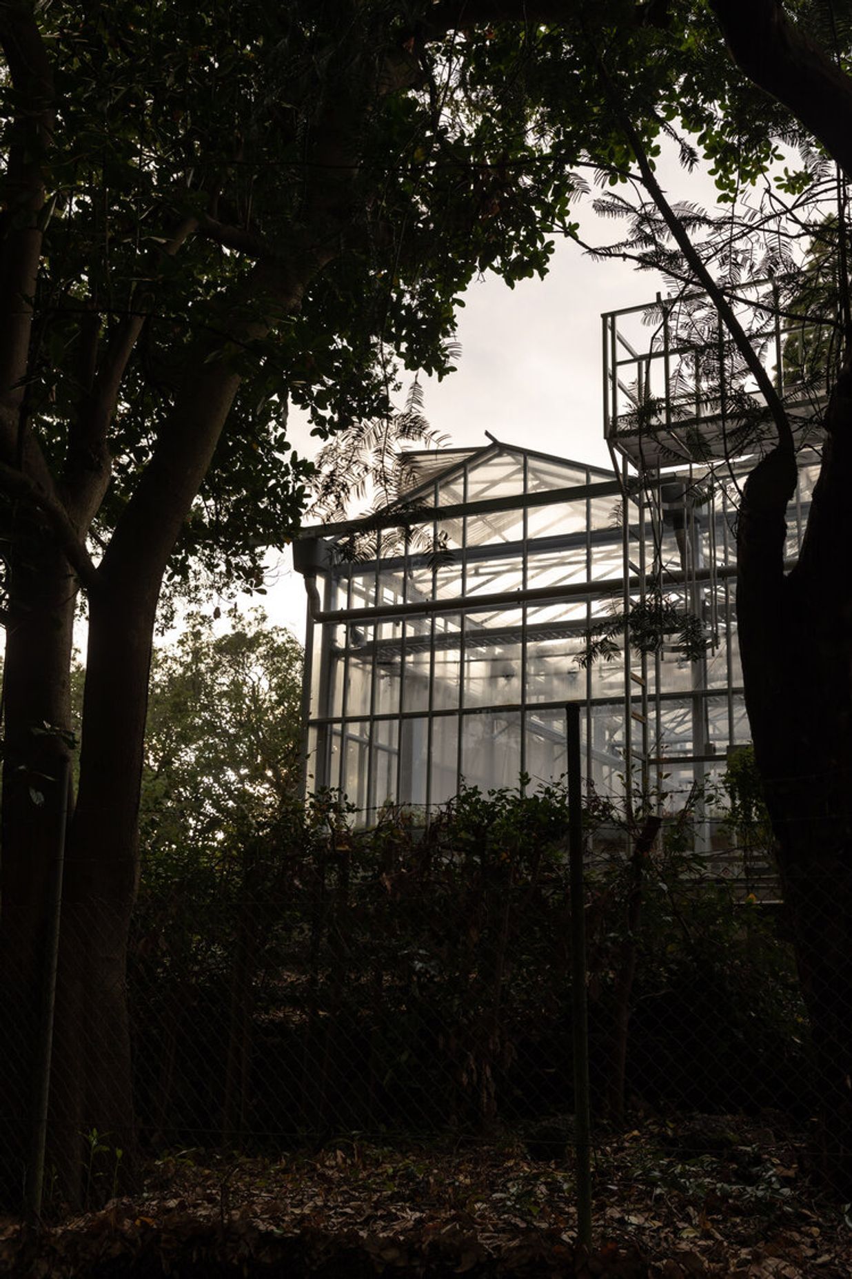 Domain Glass Houses