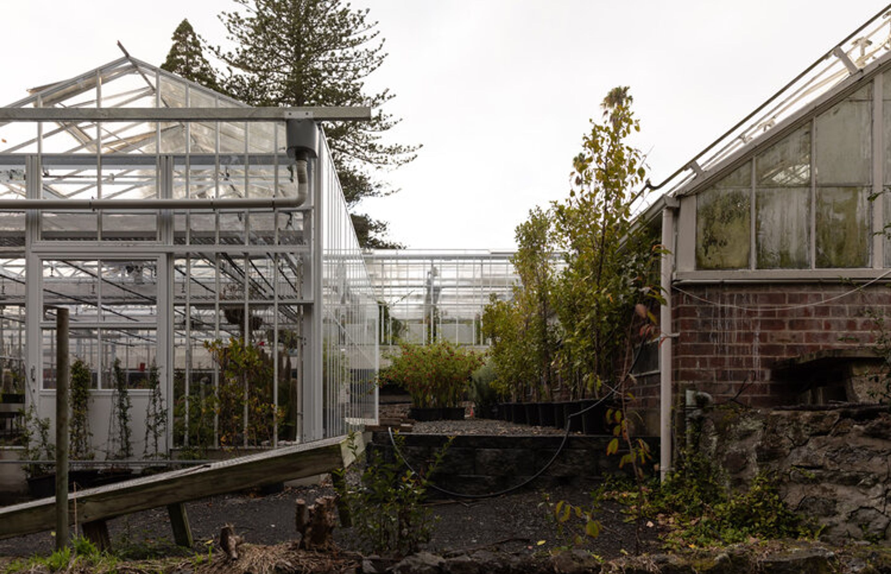 Domain Glass Houses