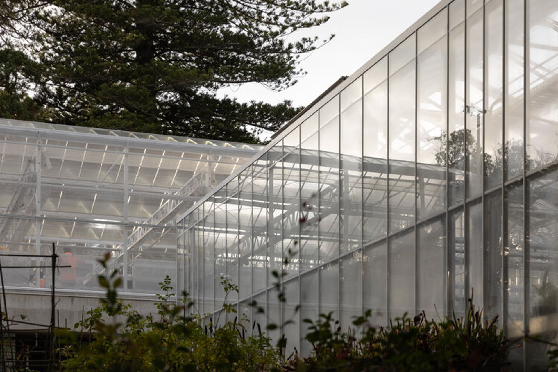 Domain Glass Houses