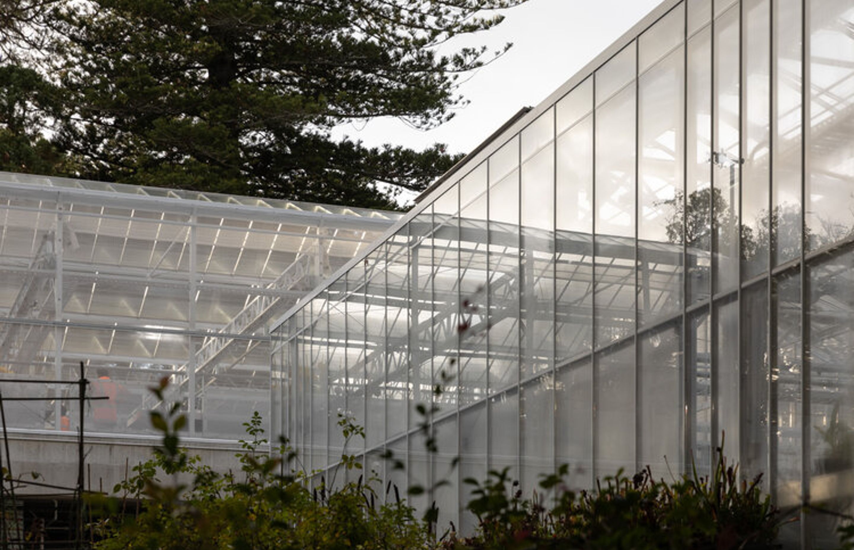 Domain Glass Houses