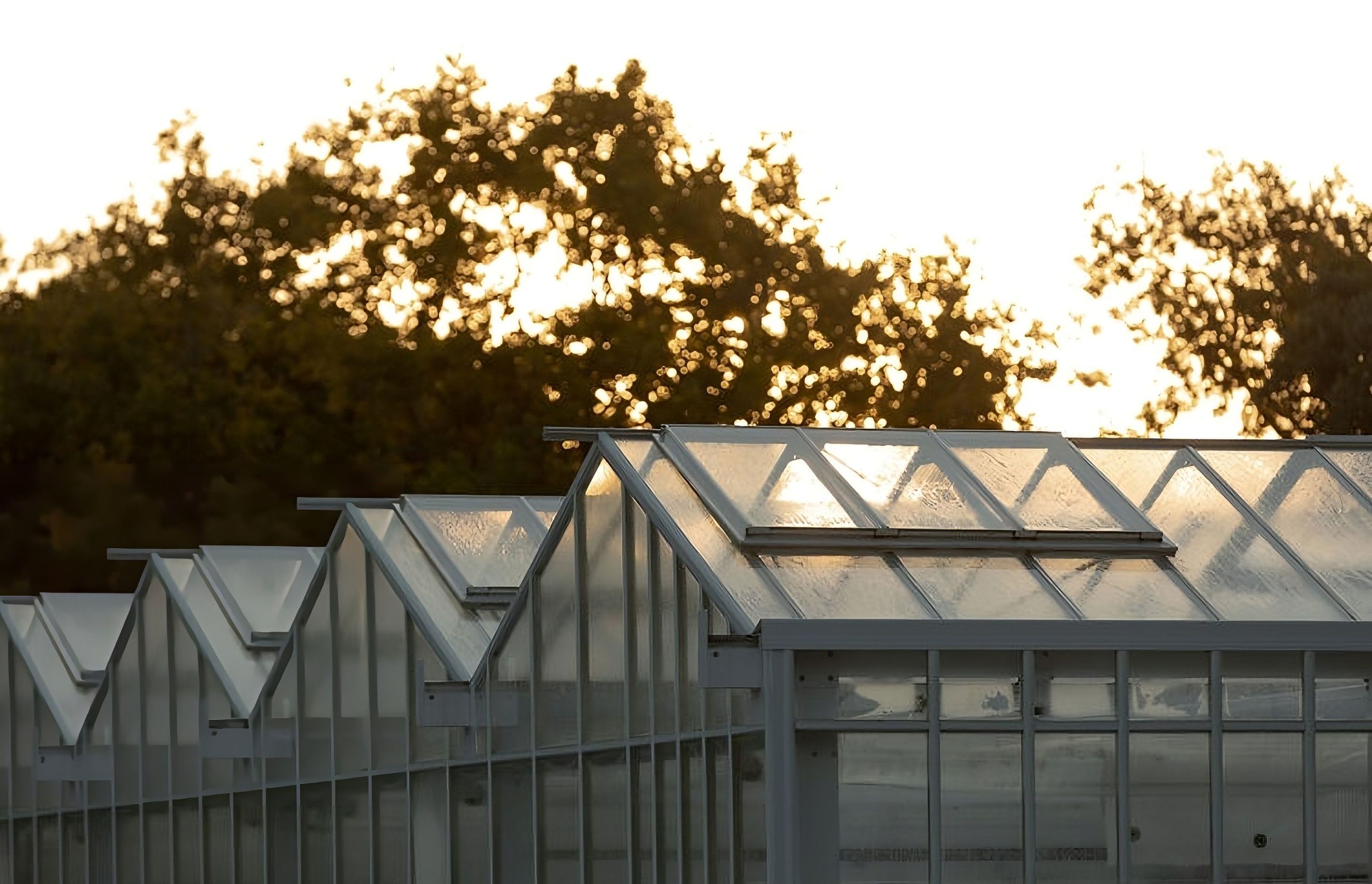 Domain Glass Houses