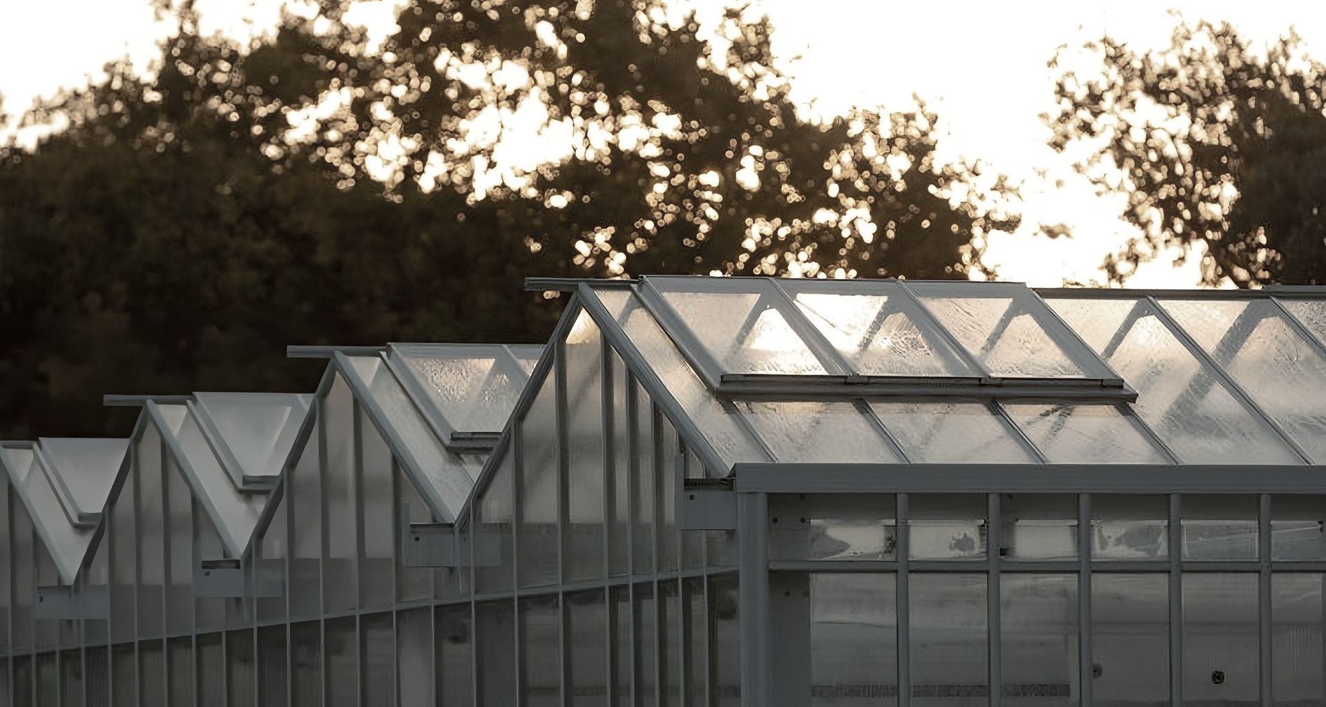 Domain Glass Houses banner