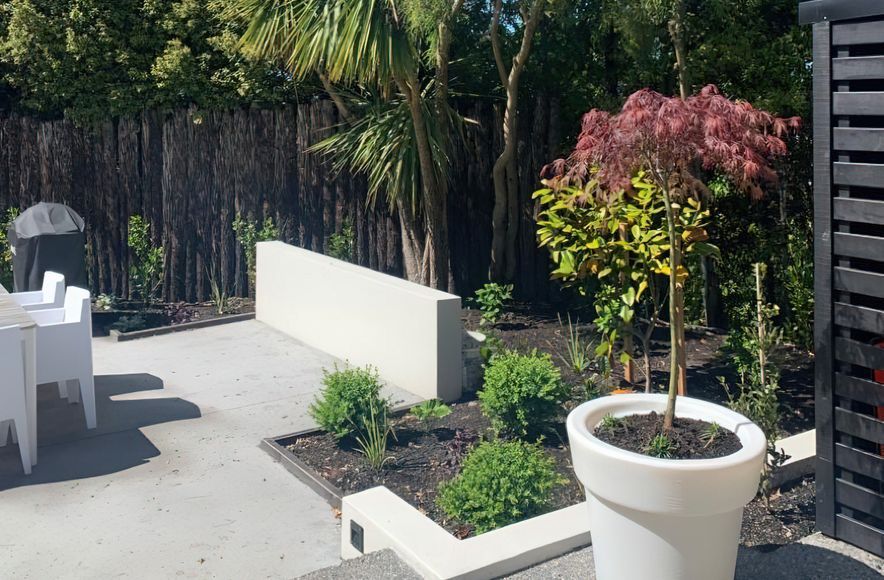 Dunedin Landscaping