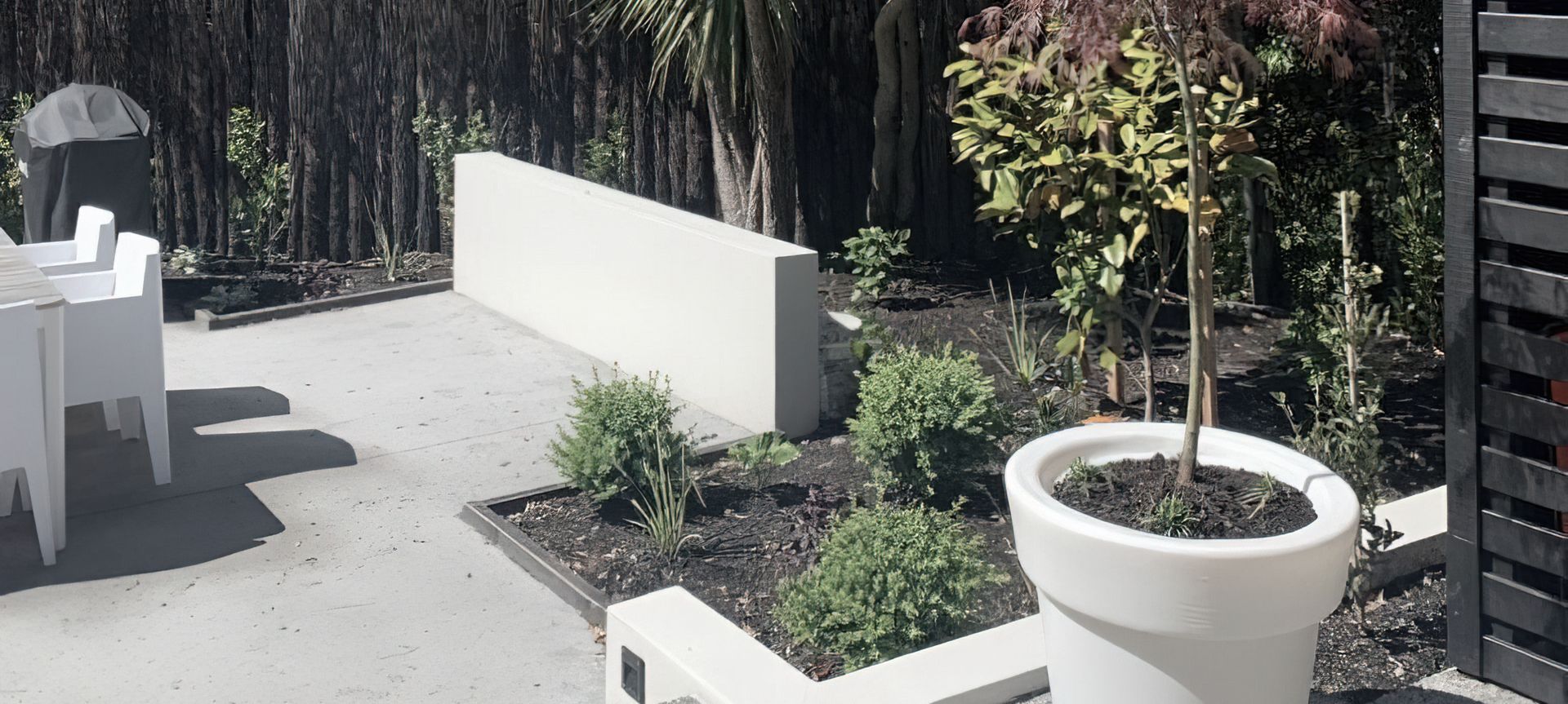 Dunedin Landscaping banner