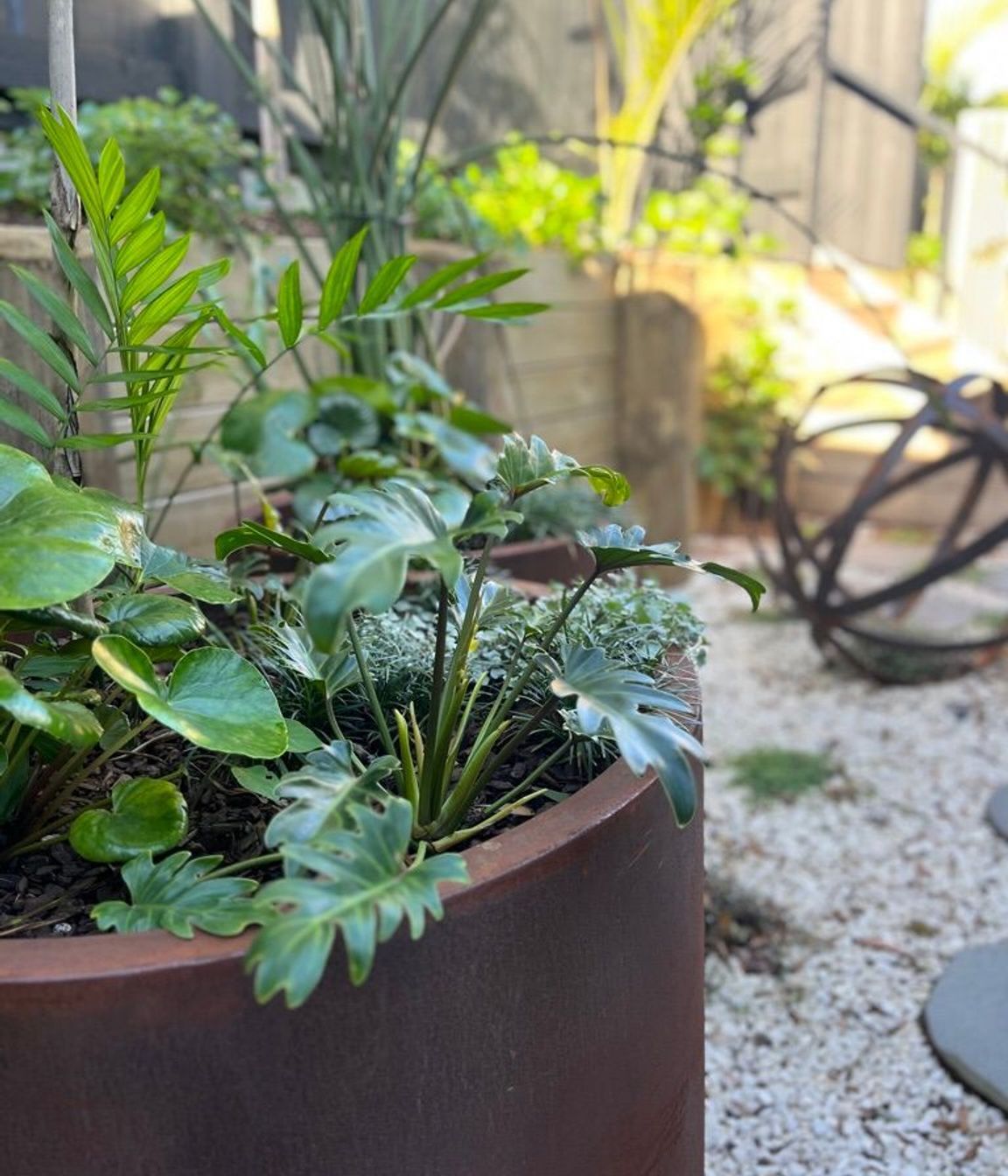 Urban Jungle