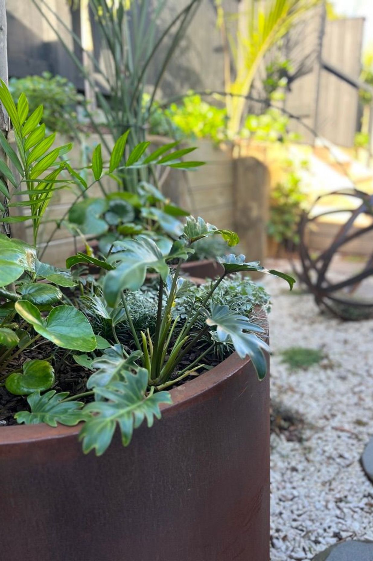 Urban Jungle