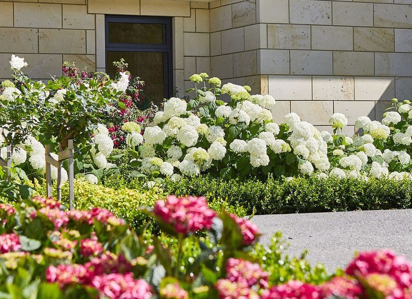 Havelock Hills Garden