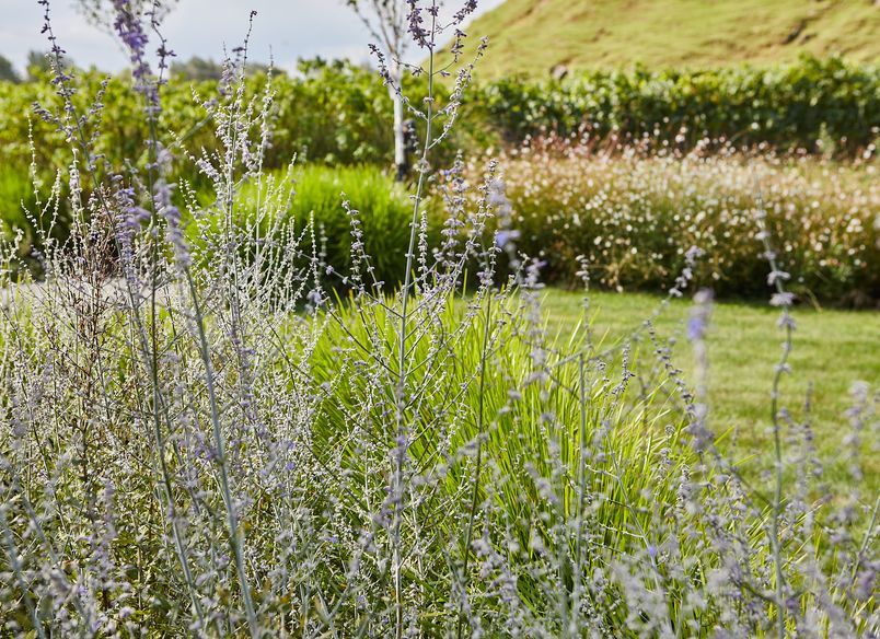 Gimlet Gravels Garden