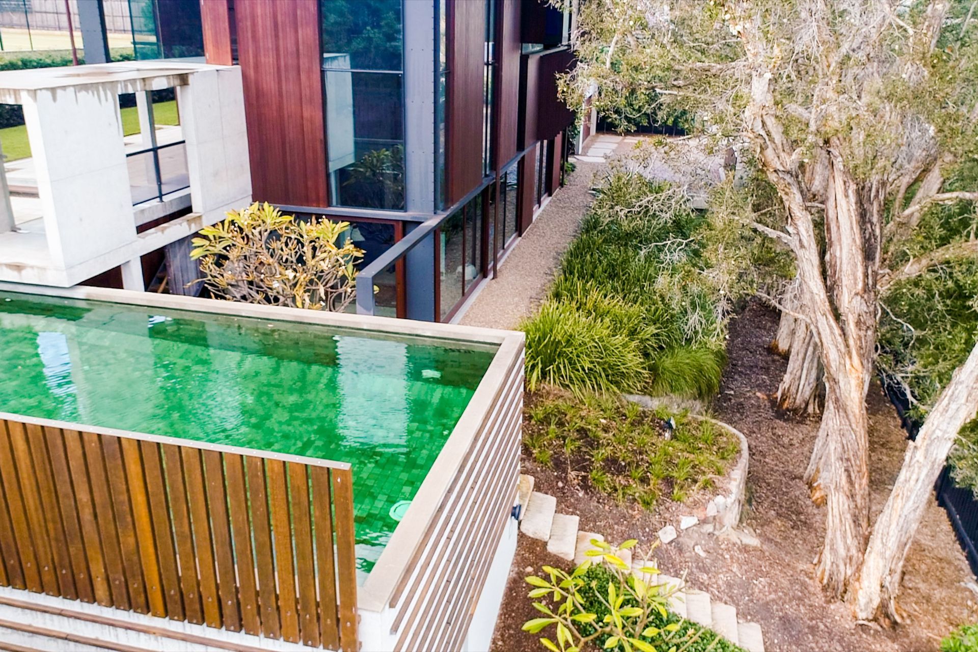 Privacy and Paperbarks