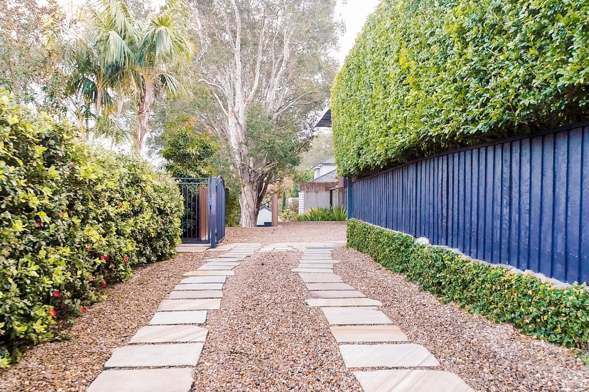 Privacy and Paperbarks