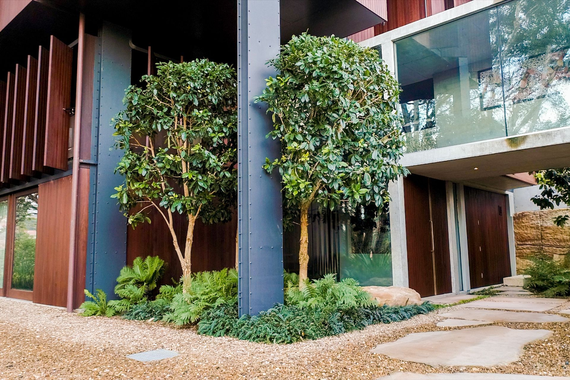 Privacy and Paperbarks