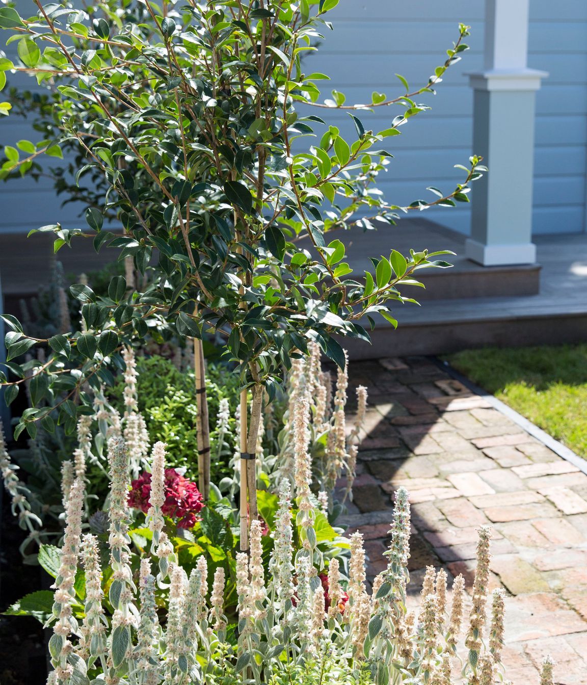 Hauraki Garden