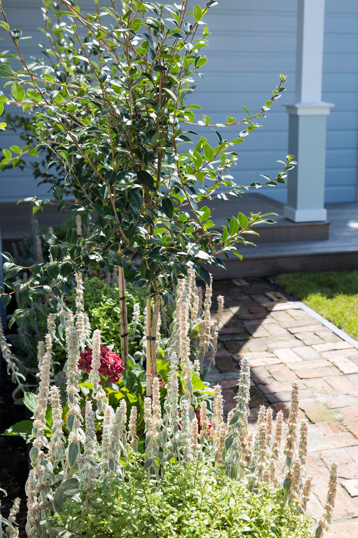 Hauraki Garden