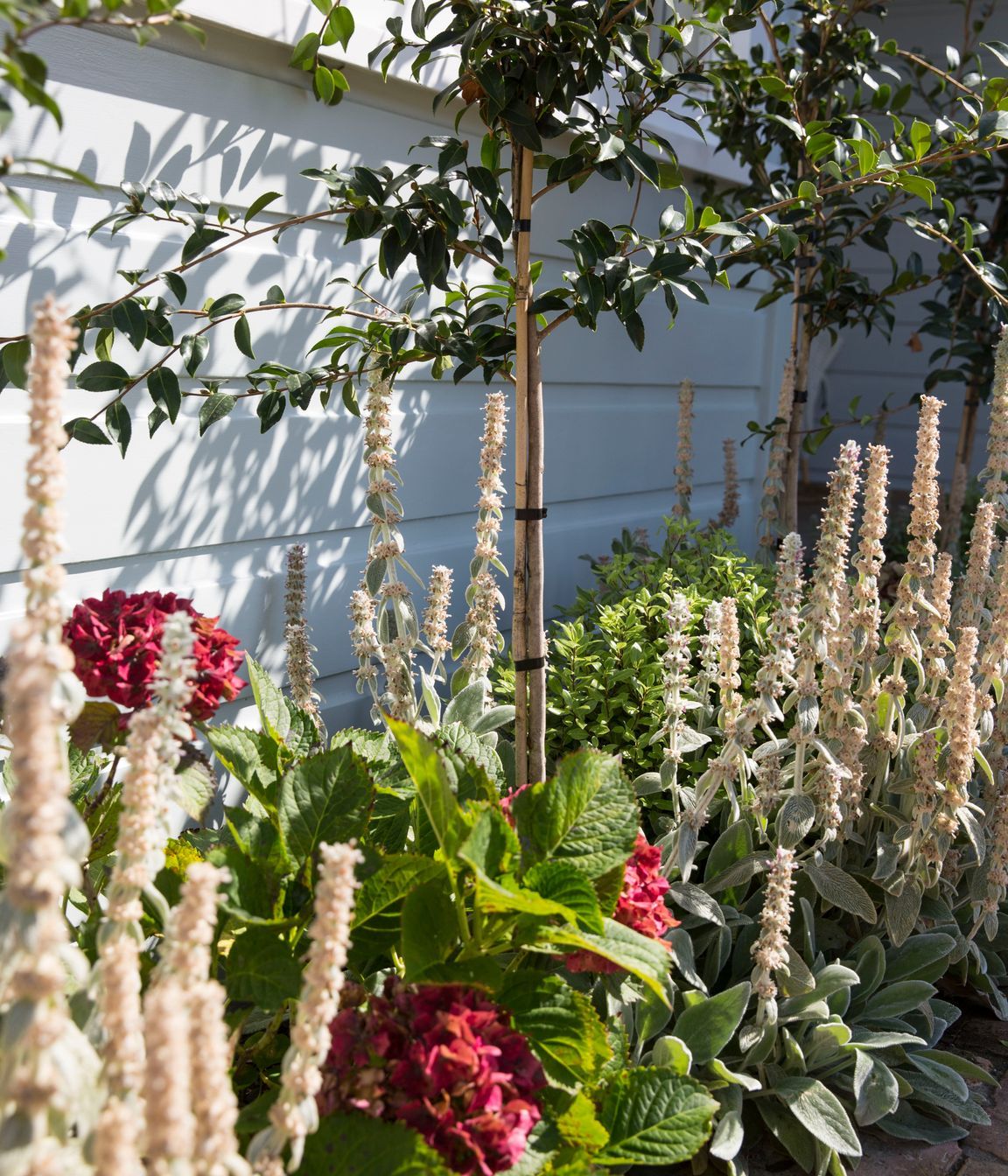Hauraki Garden