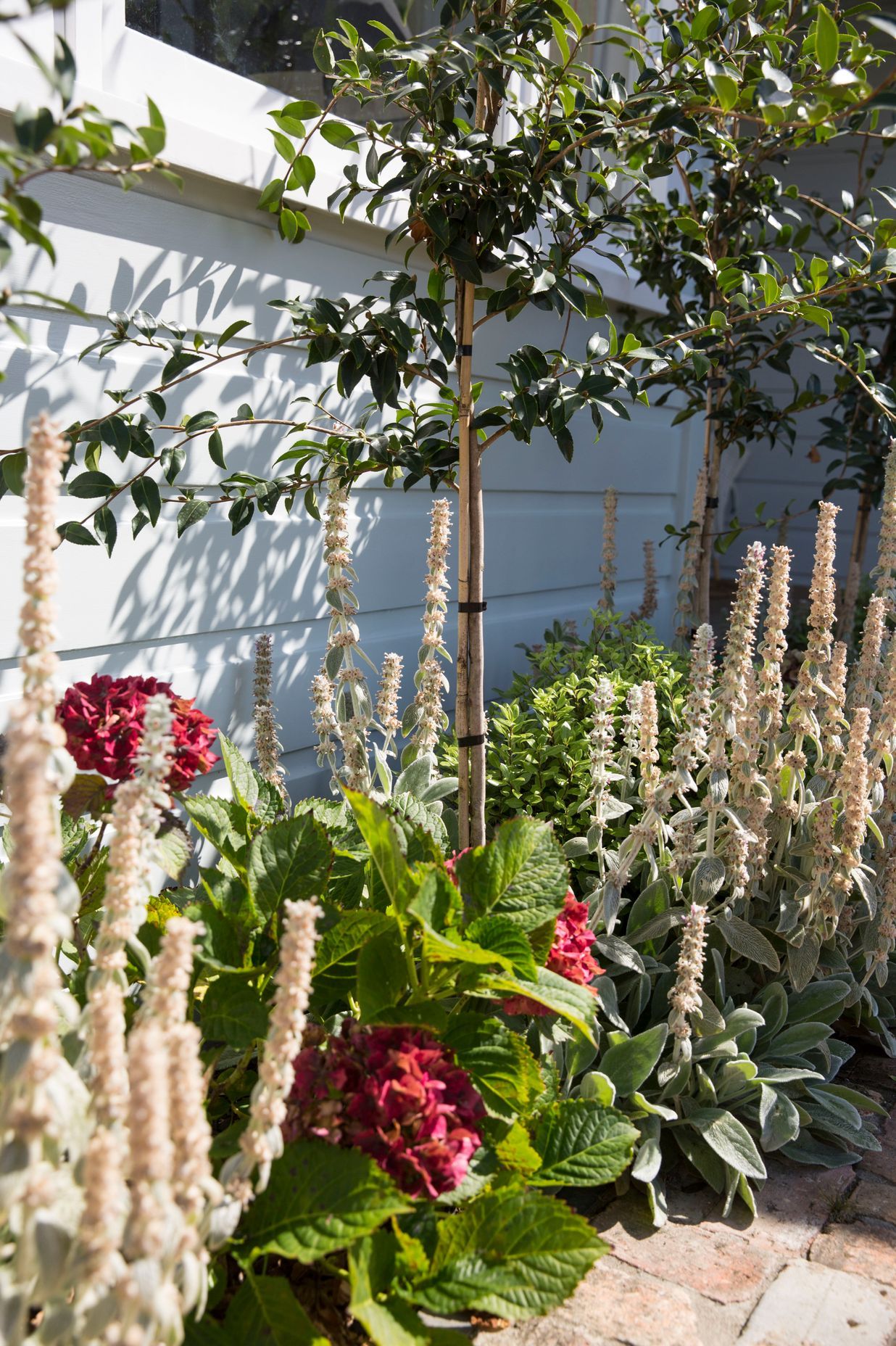 Hauraki Garden