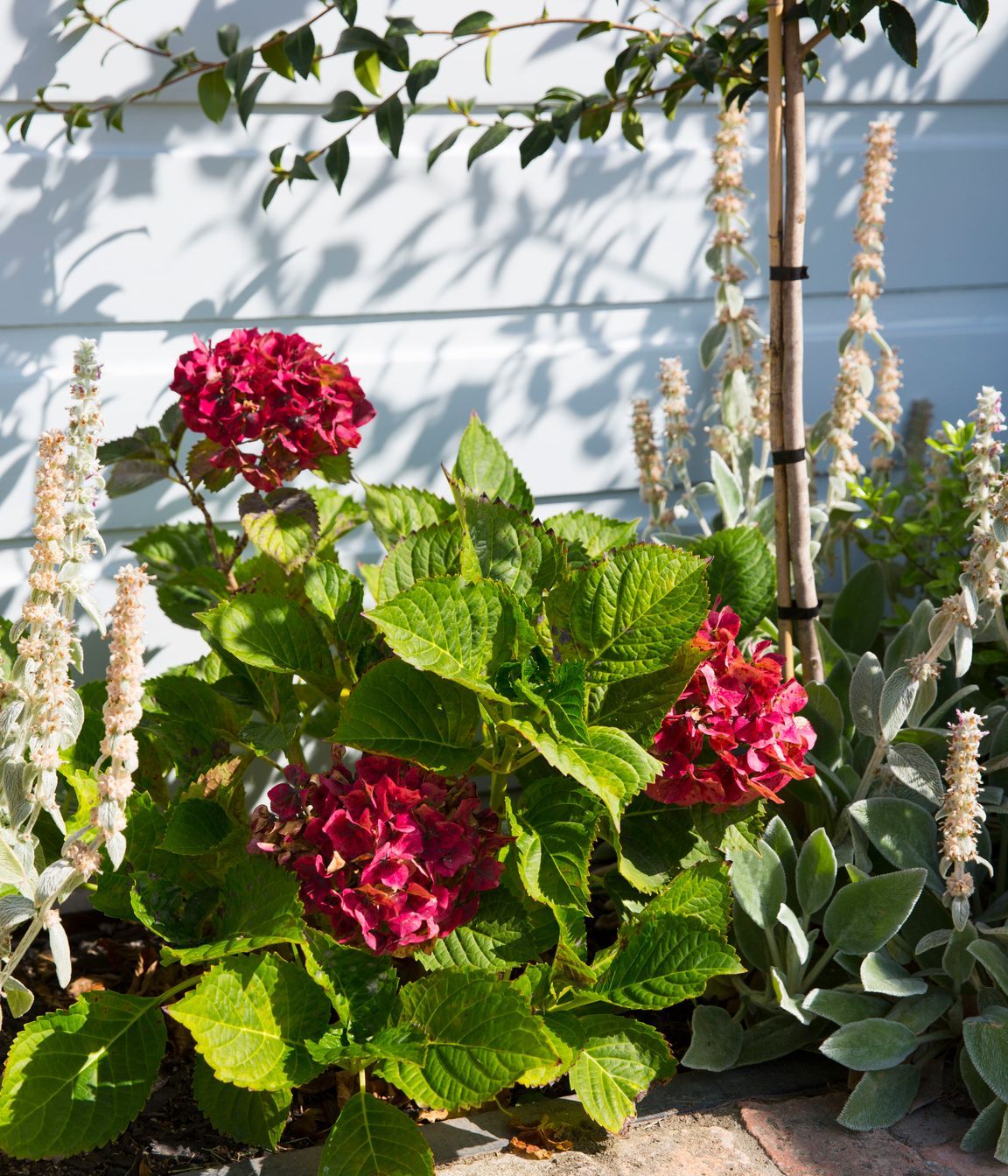 Hauraki Garden