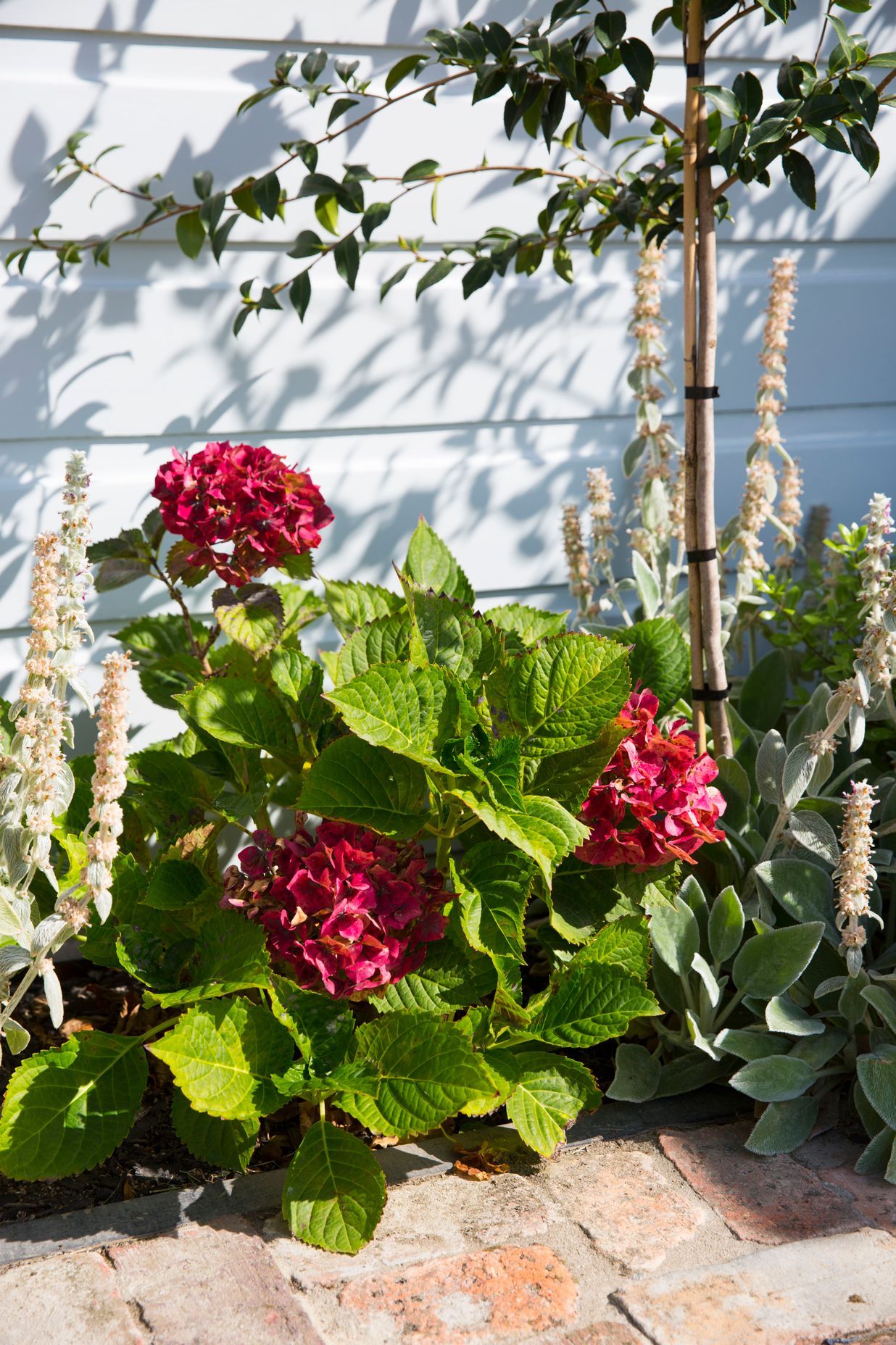 Hauraki Garden