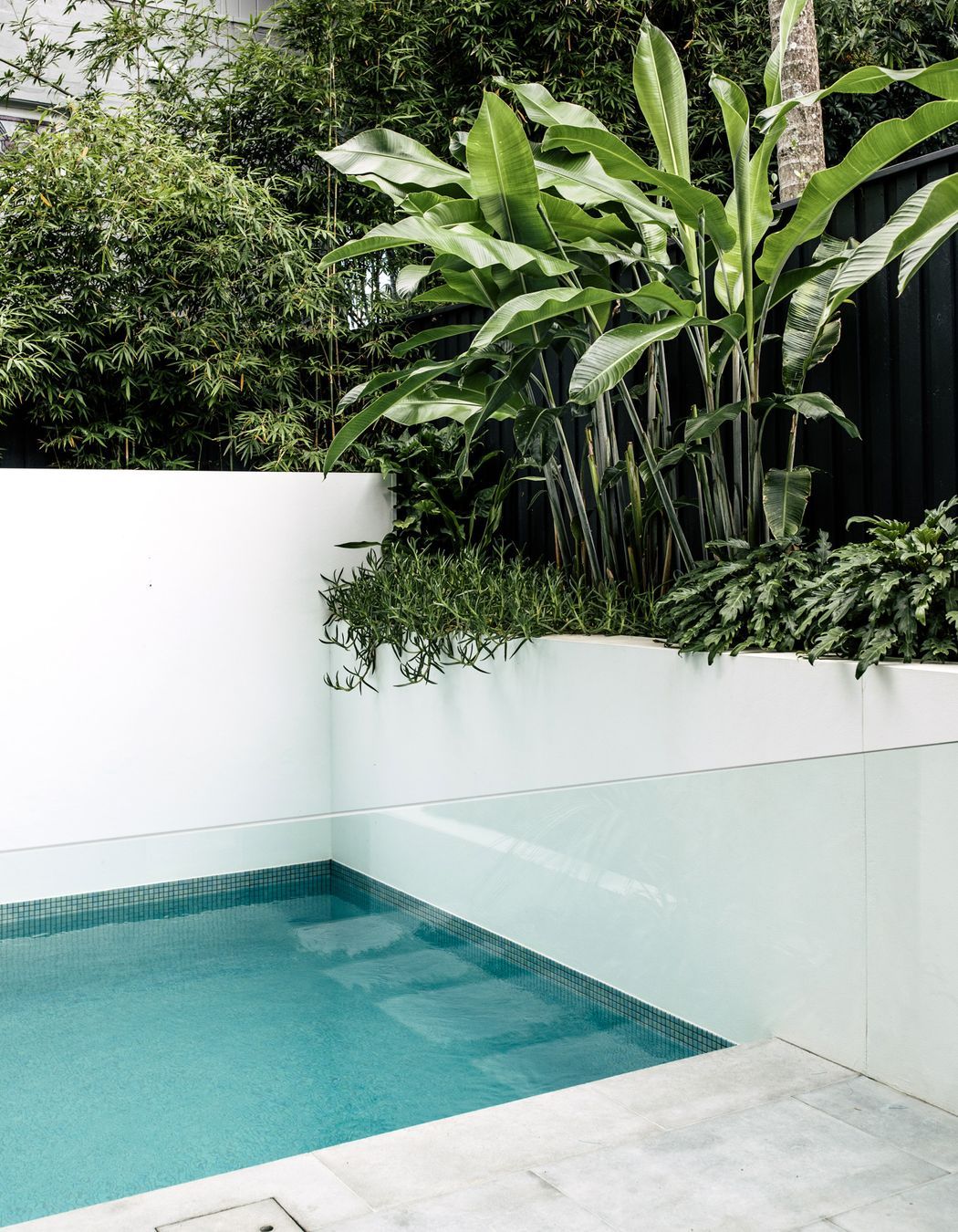 Exotic-Nurseries-Coogee-13.jpg