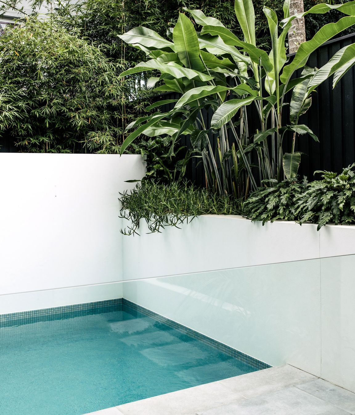 Exotic-Nurseries-Coogee-13.jpg