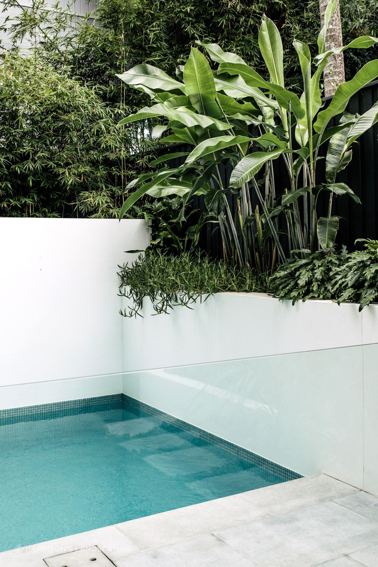 Exotic-Nurseries-Coogee-13.jpg