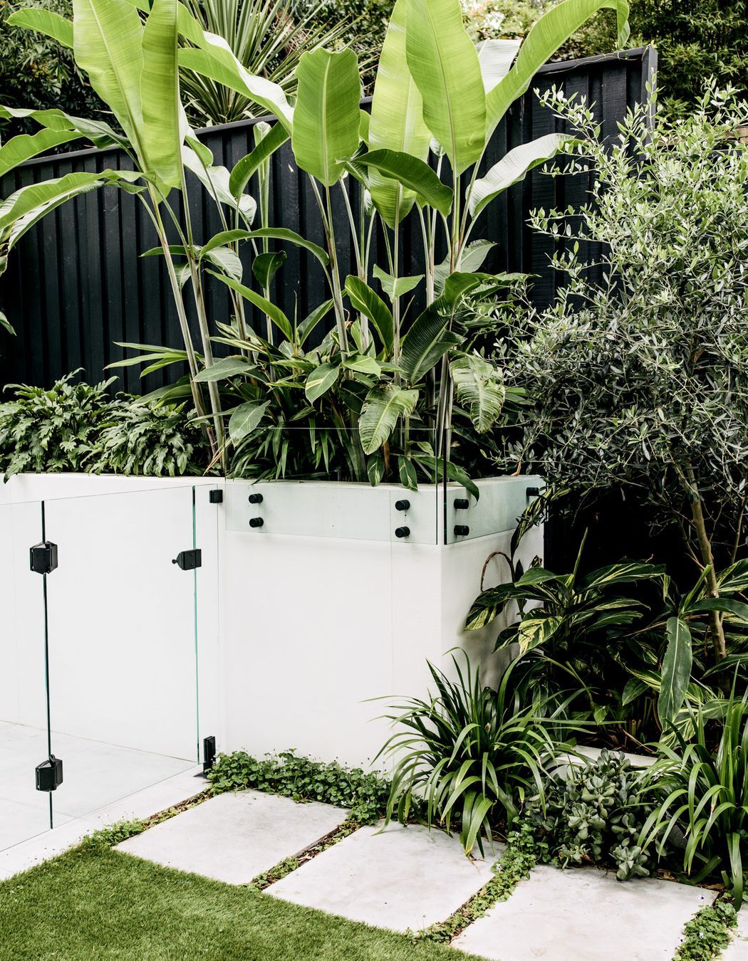 Exotic-Nurseries-Coogee-14.jpg