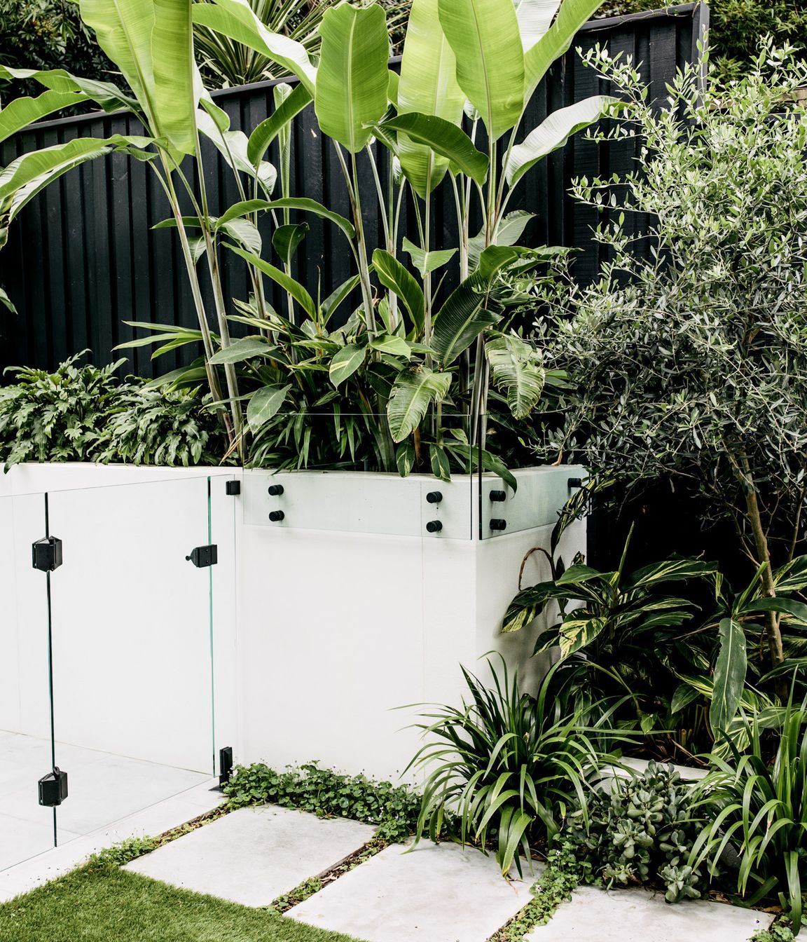 Exotic-Nurseries-Coogee-14.jpg