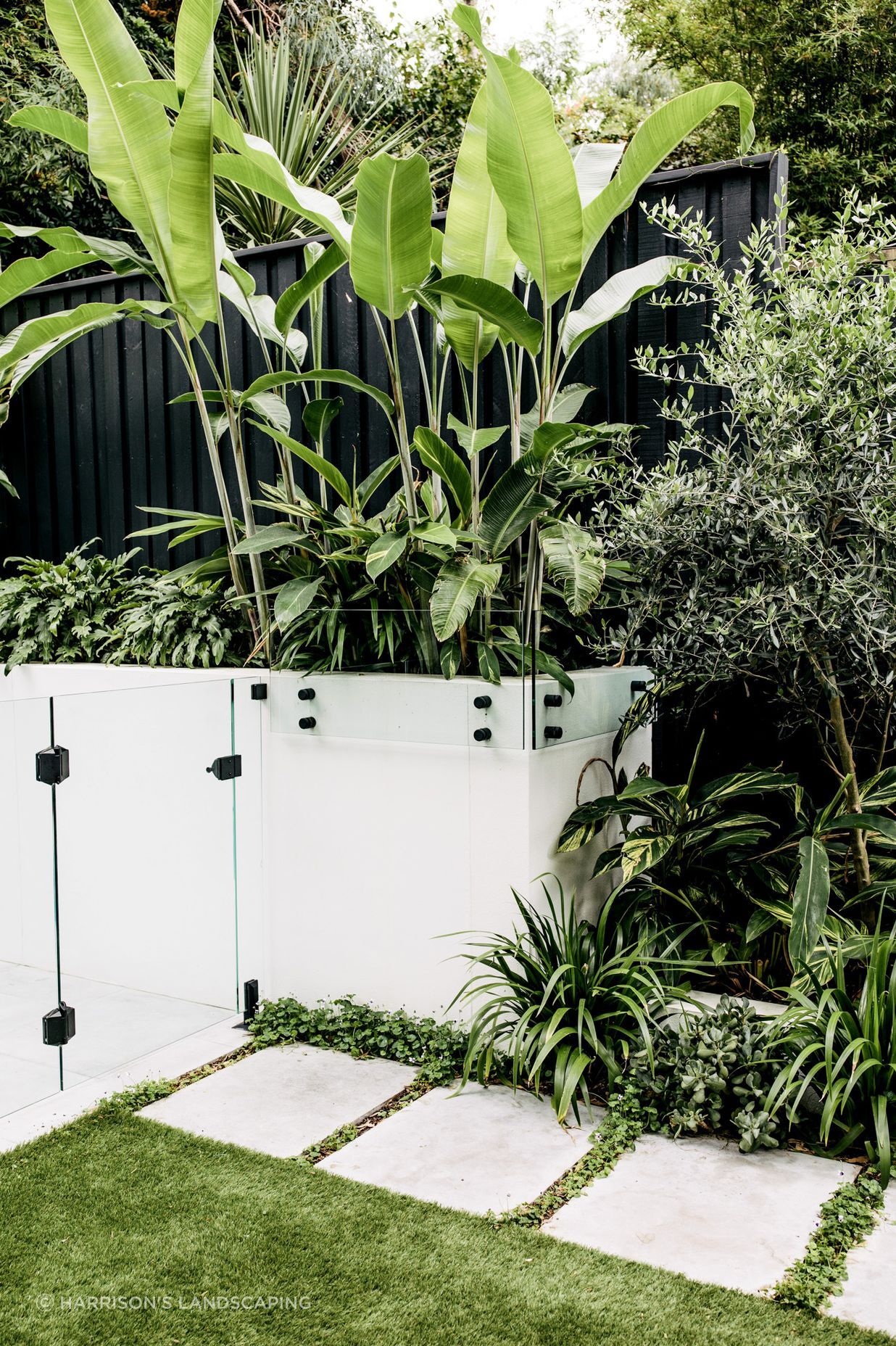 Exotic-Nurseries-Coogee-14.jpg