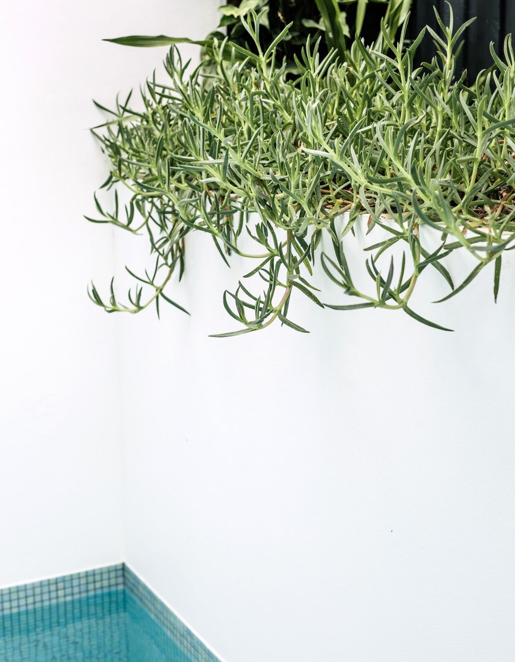 Exotic-Nurseries-Coogee-17.jpg