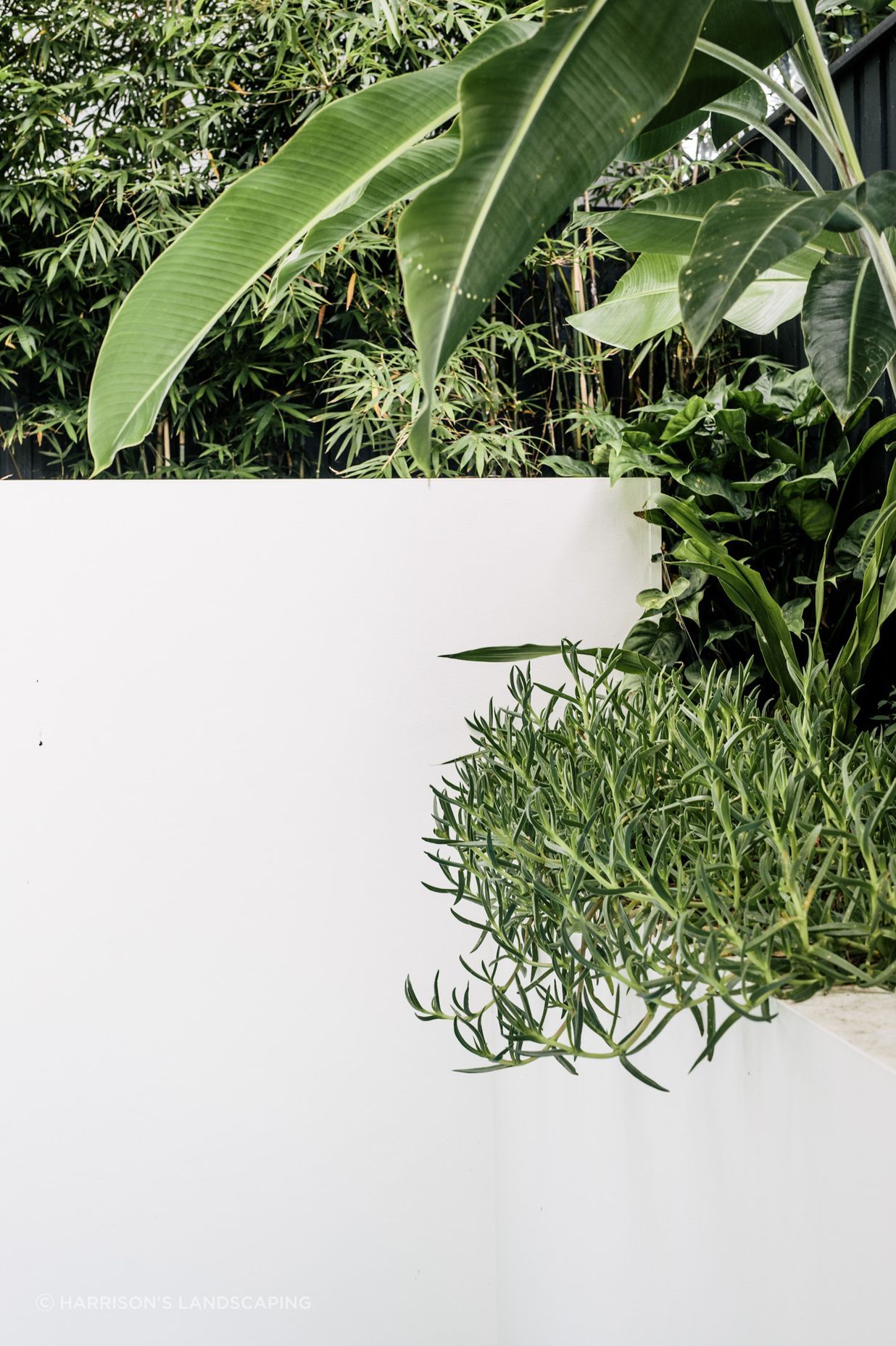 Exotic-Nurseries-Coogee-24.jpg