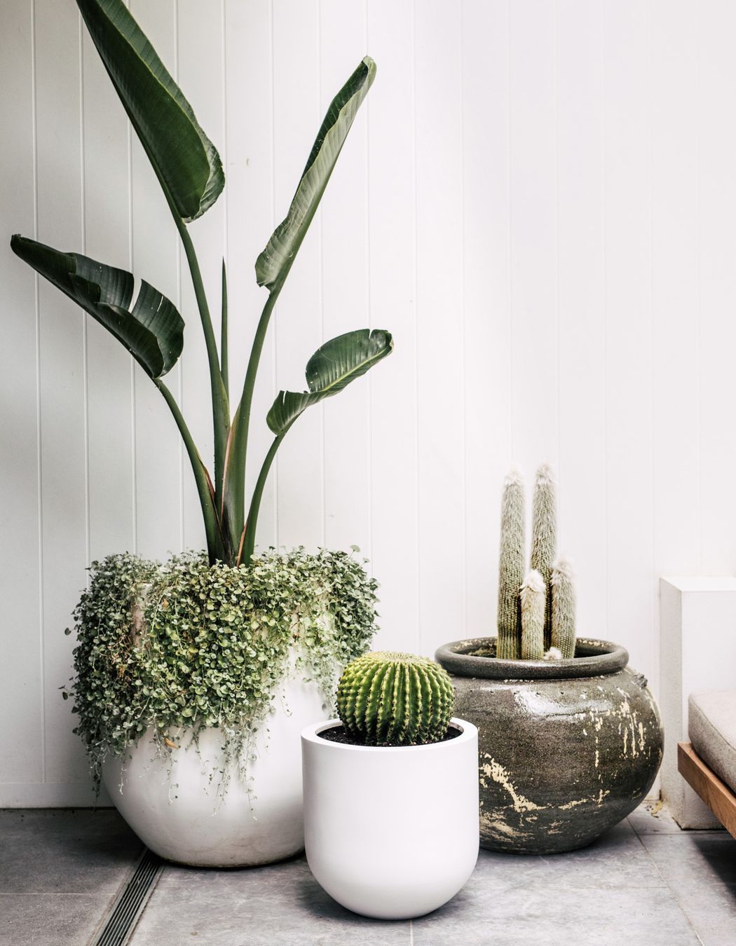 Exotic-Nurseries-Coogee-8.jpg