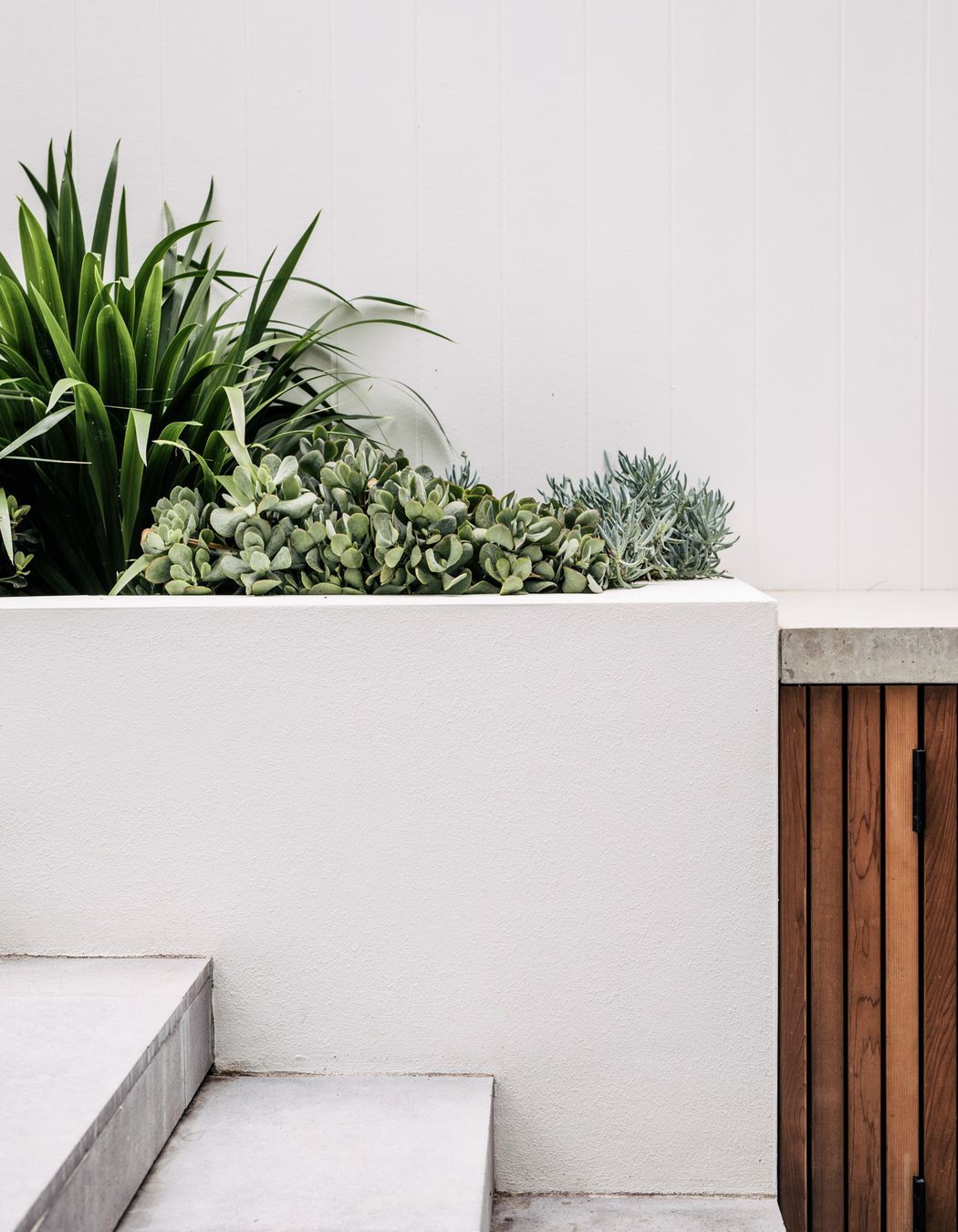 Exotic-Nurseries-Coogee-9.jpg