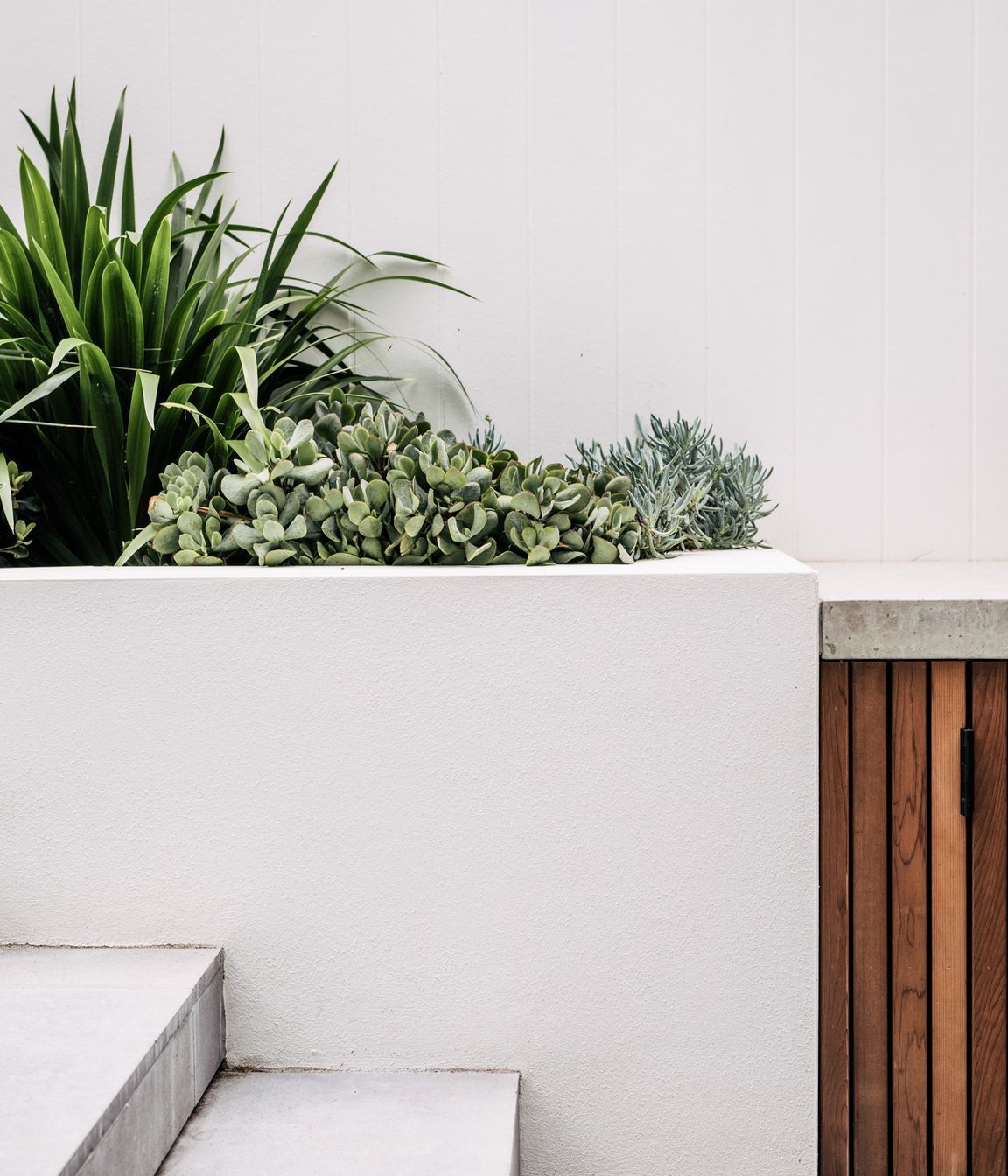 Exotic-Nurseries-Coogee-9.jpg