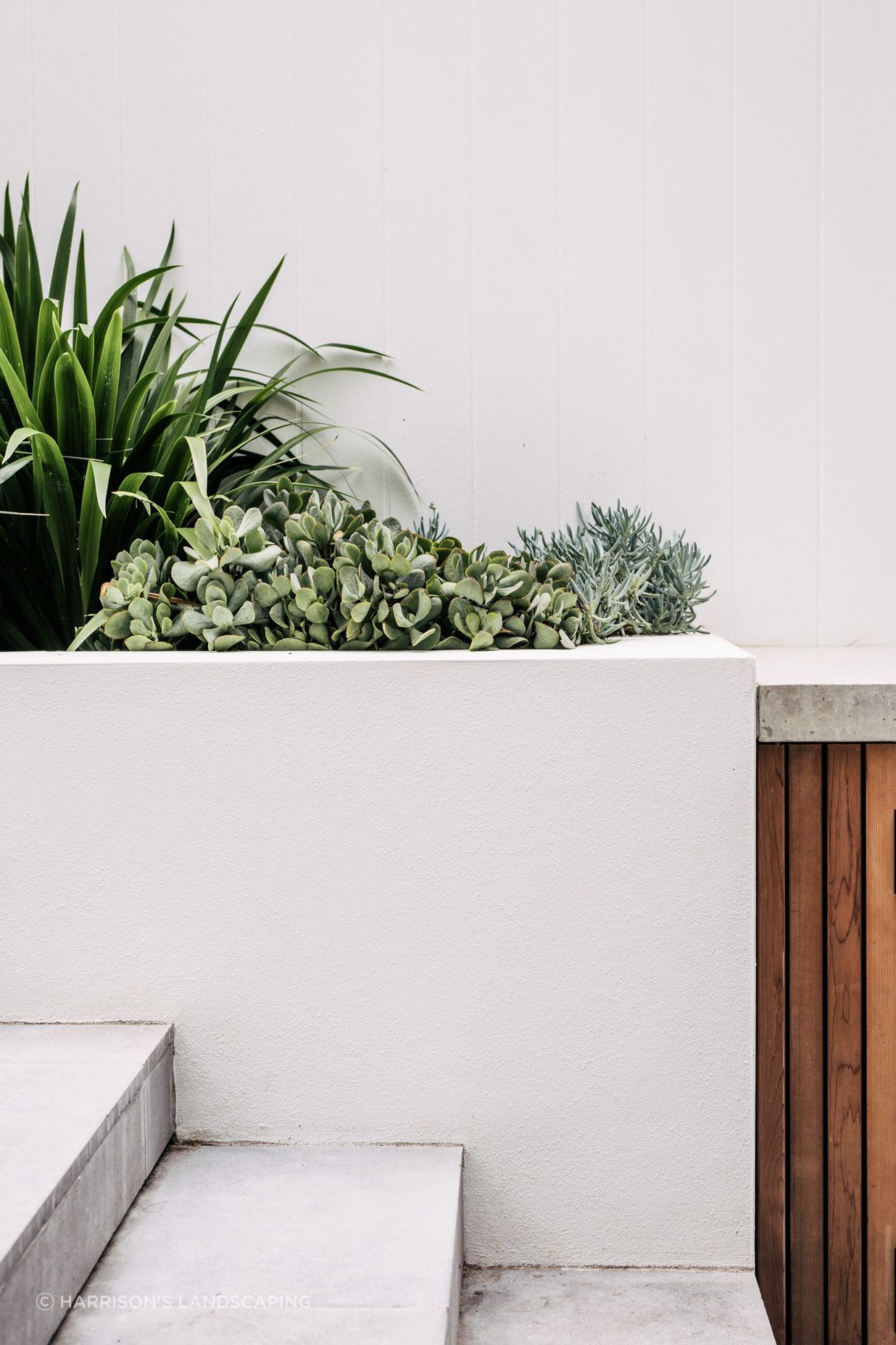 Exotic-Nurseries-Coogee-9.jpg