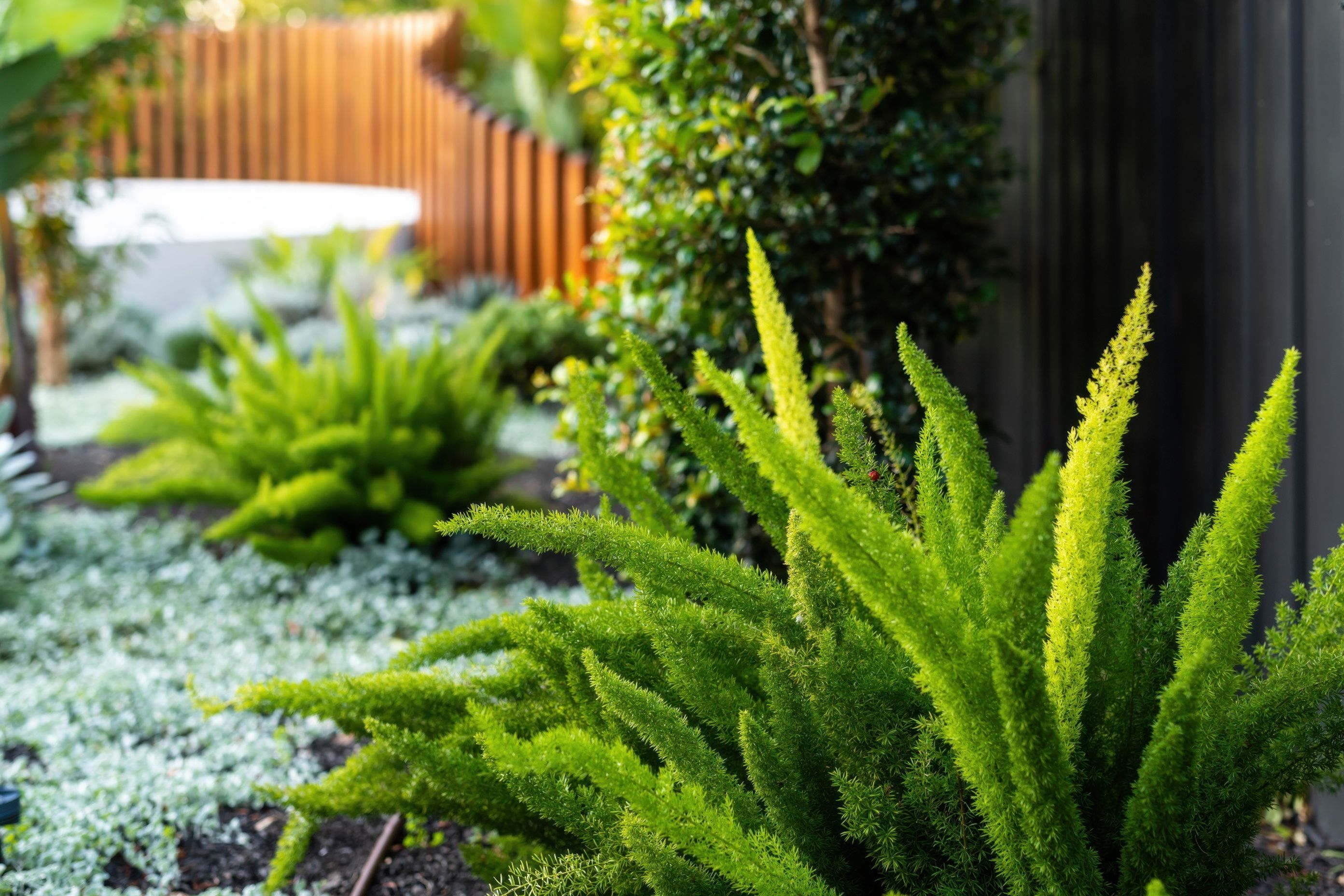 Exotic-Nurseries-Loftus-2-2-gigapixel-standard-v2-2000w.jpeg