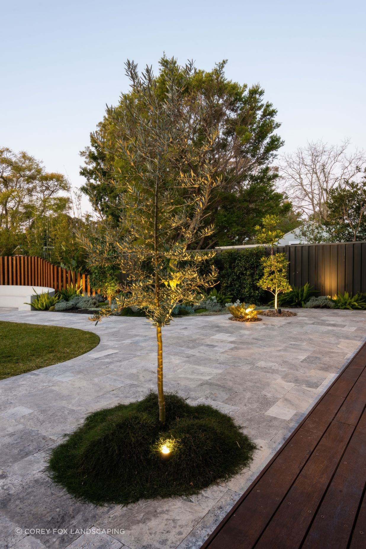 Exotic-Nurseries-Loftus-4-2-gigapixel-standard-v2-2000w.jpeg