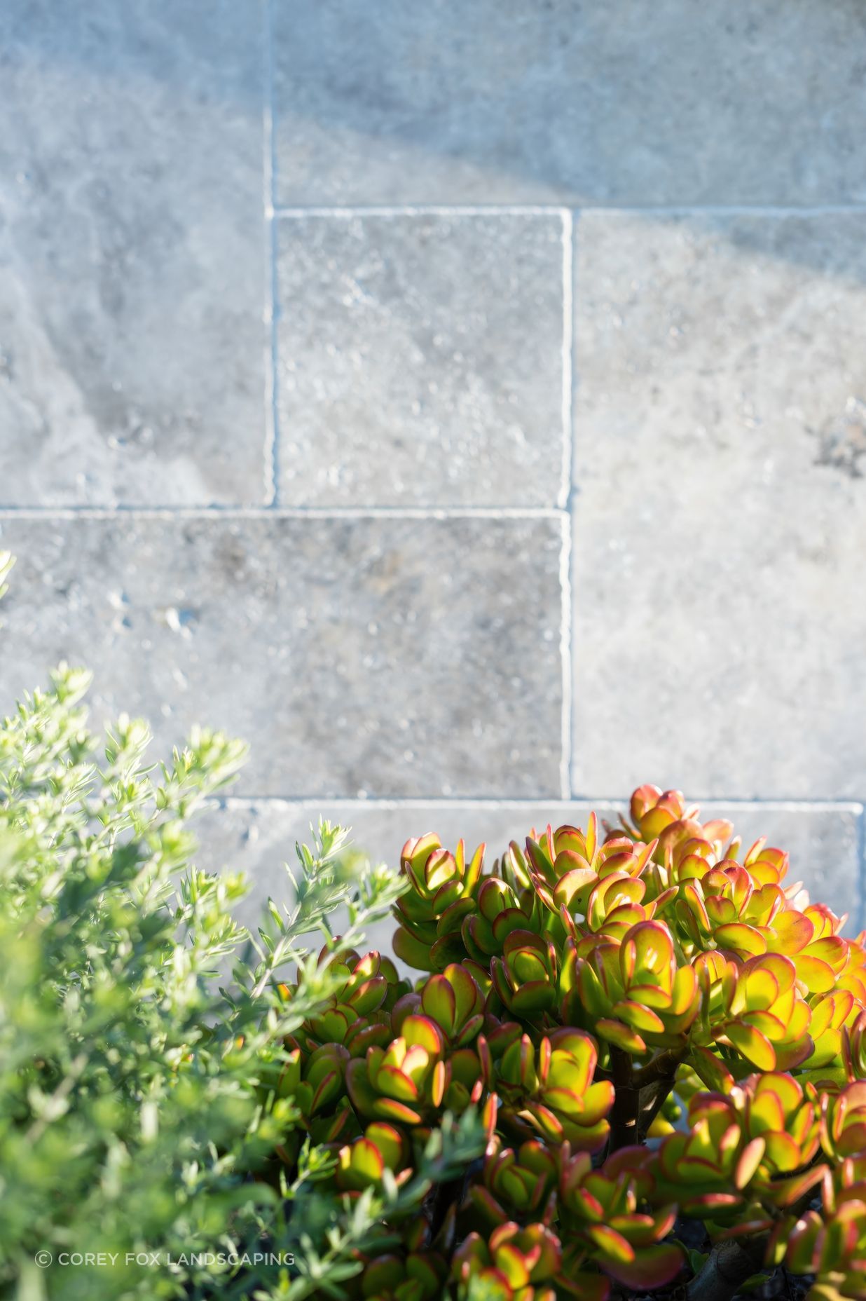Exotic-Nurseries-Loftus-6-2-gigapixel-standard-v2-2000w.jpeg