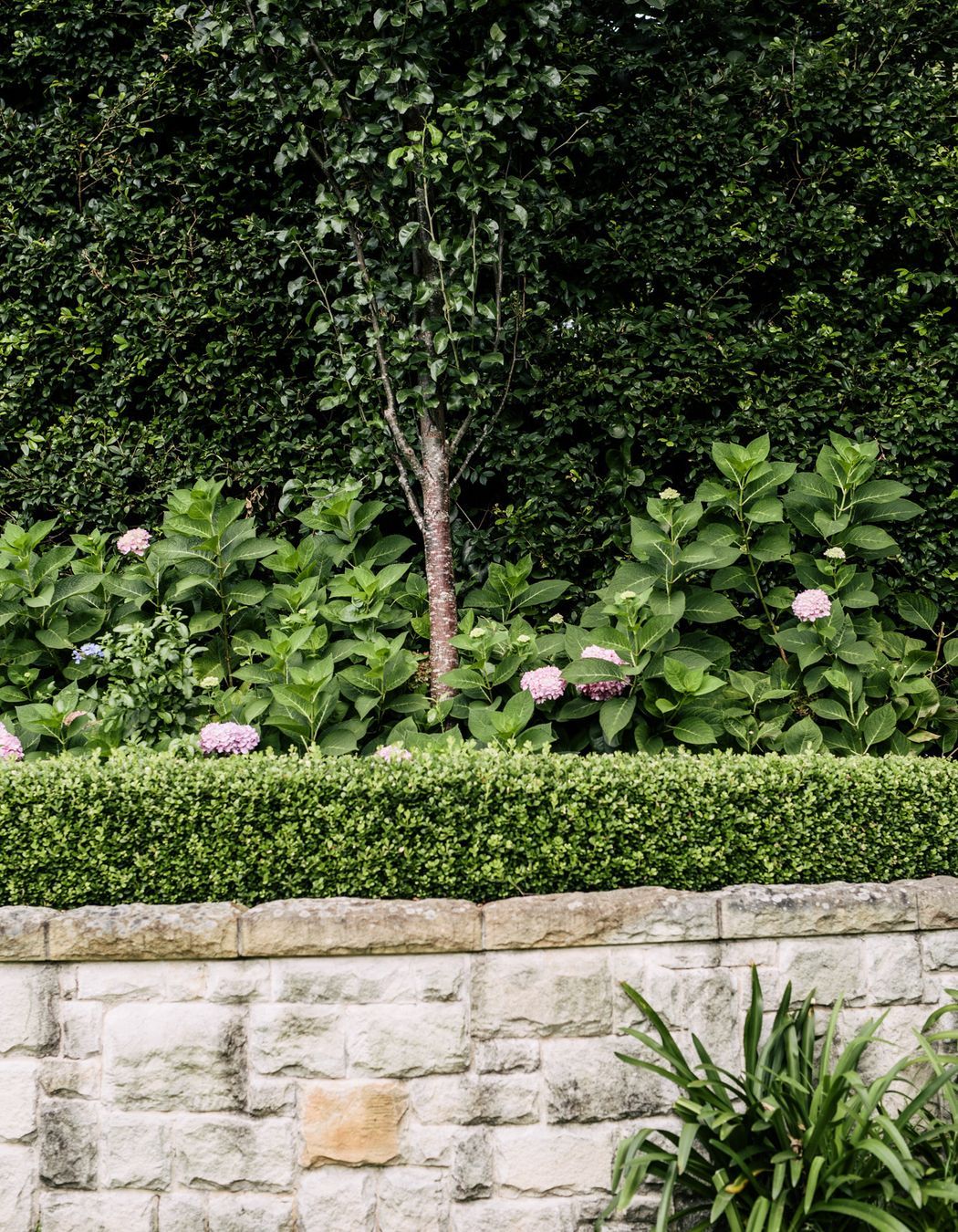Exotic-Nurseries-Turramurra-17.jpg