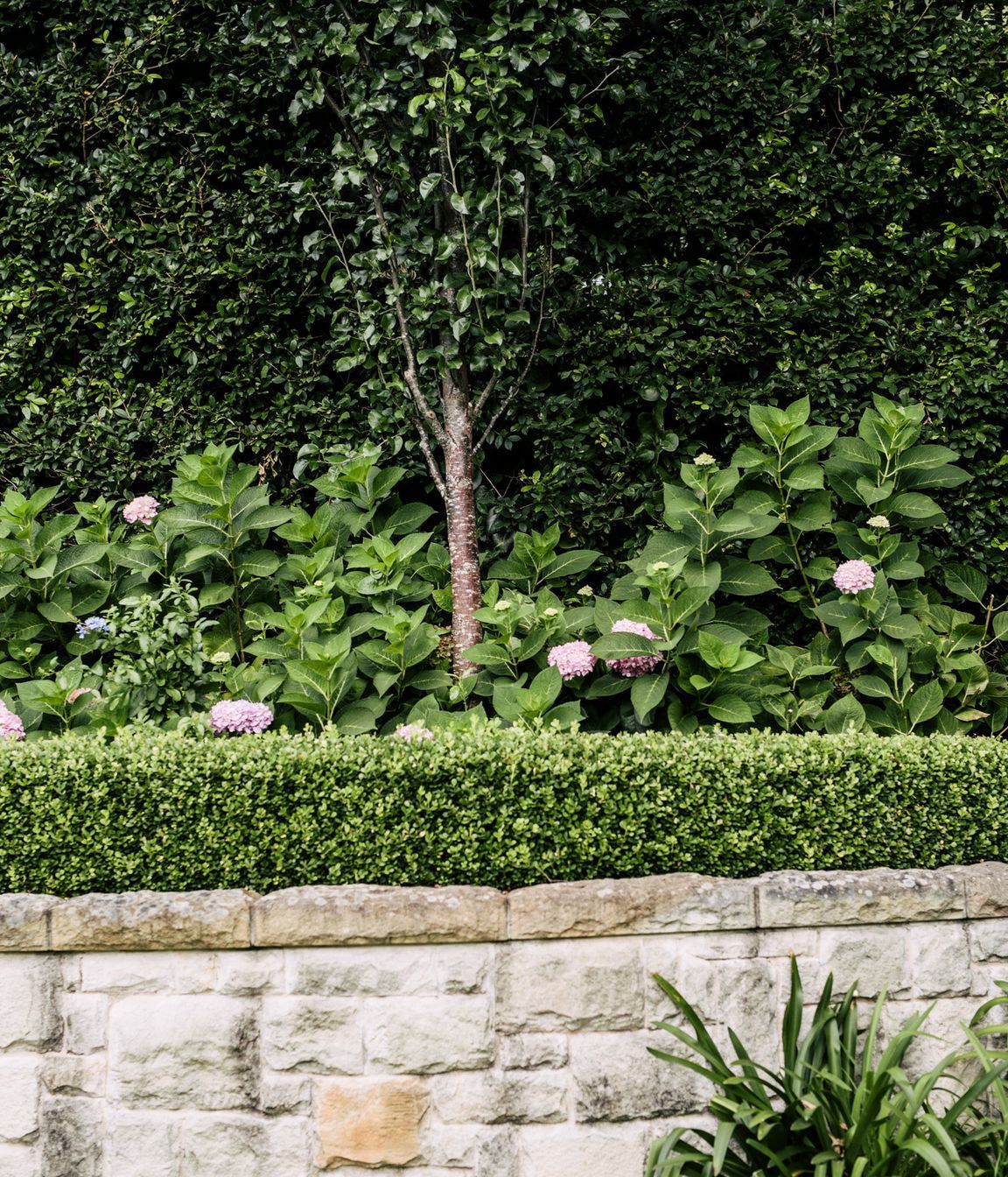 Exotic-Nurseries-Turramurra-17.jpg
