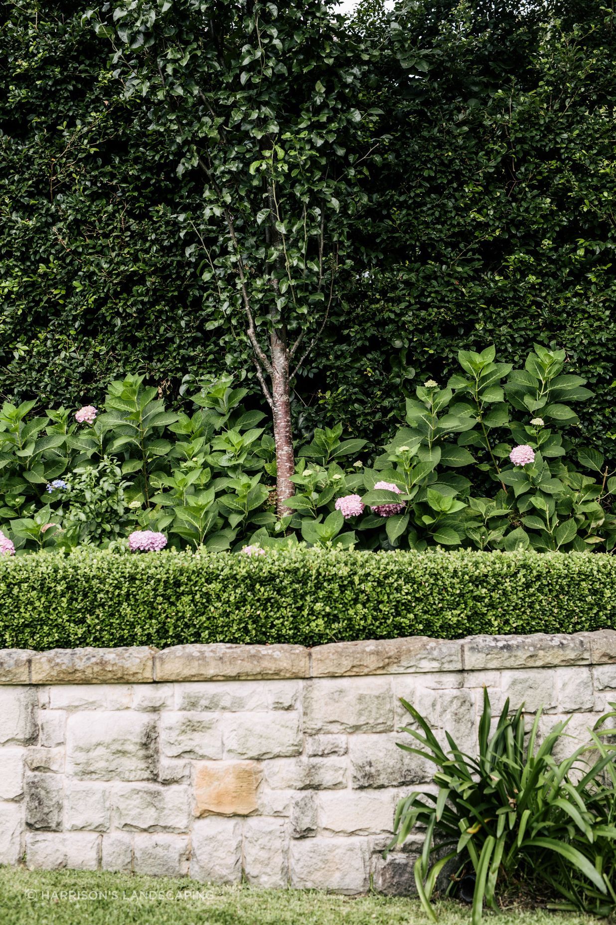 Exotic-Nurseries-Turramurra-17.jpg
