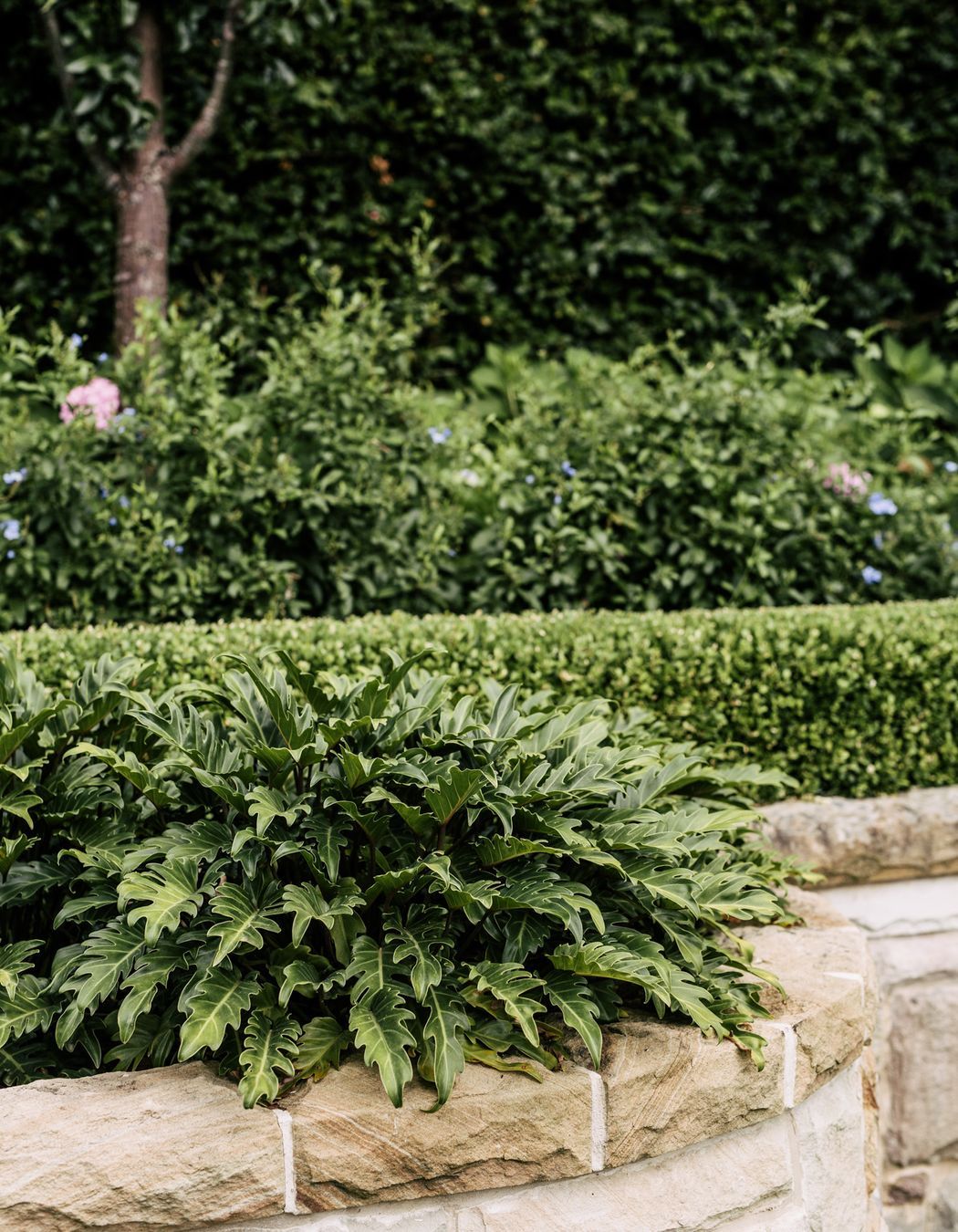 Exotic-Nurseries-Turramurra-18.jpg