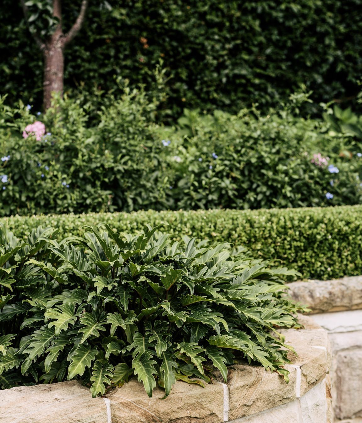 Exotic-Nurseries-Turramurra-18.jpg