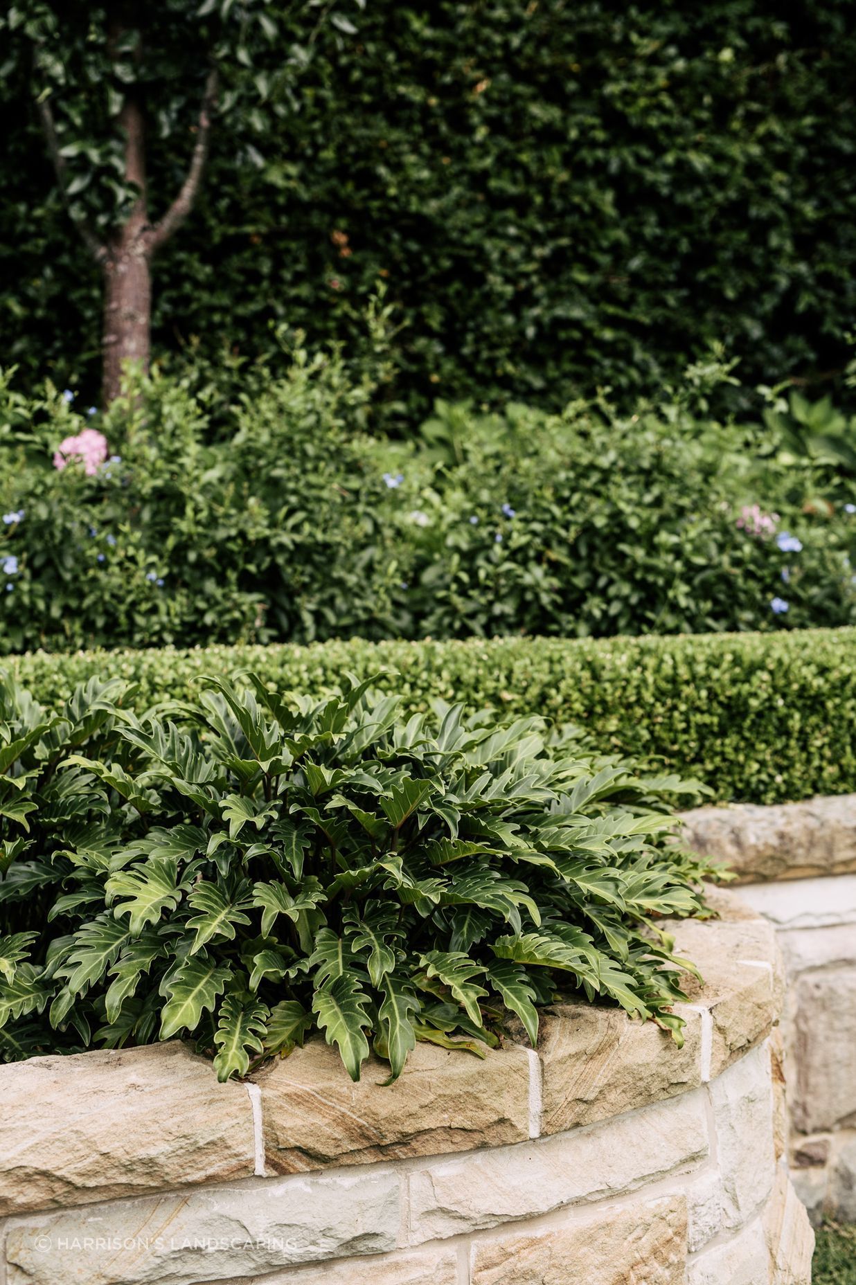 Exotic-Nurseries-Turramurra-18.jpg