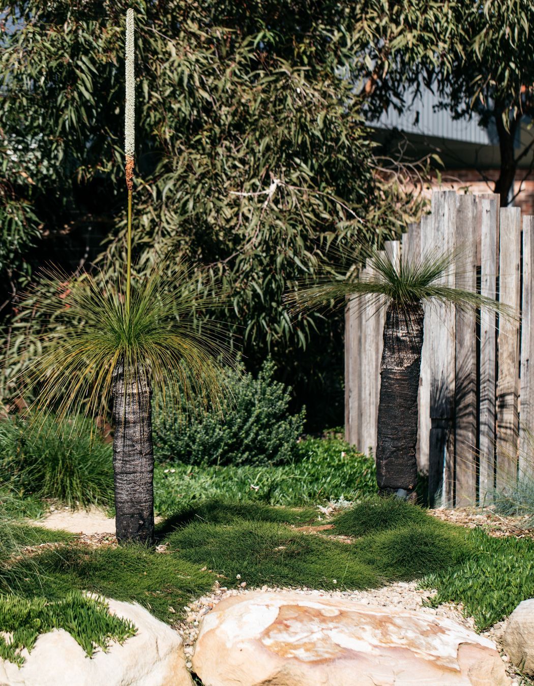 Exotic-Nurseries-Woolooware-10-2.jpg