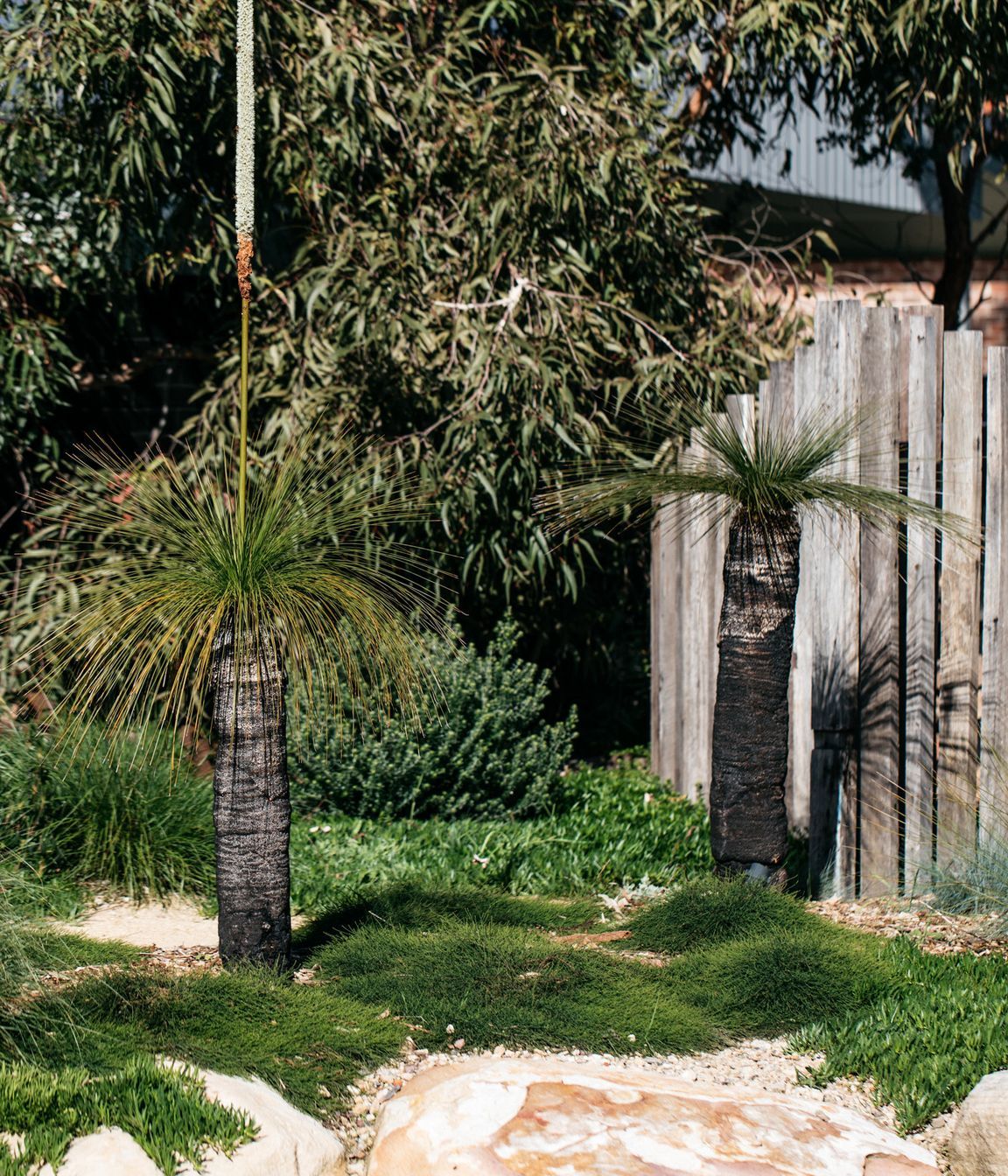 Exotic-Nurseries-Woolooware-10-2.jpg